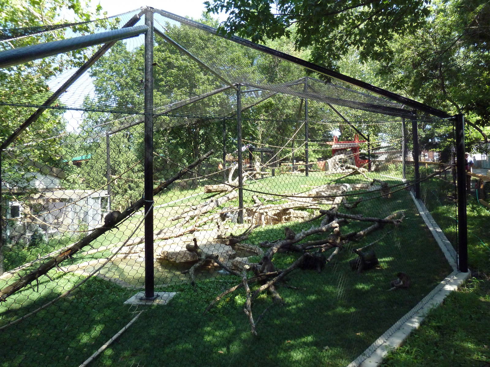 Japanese Macaque Exhibit (one of the highlights of the zoo)