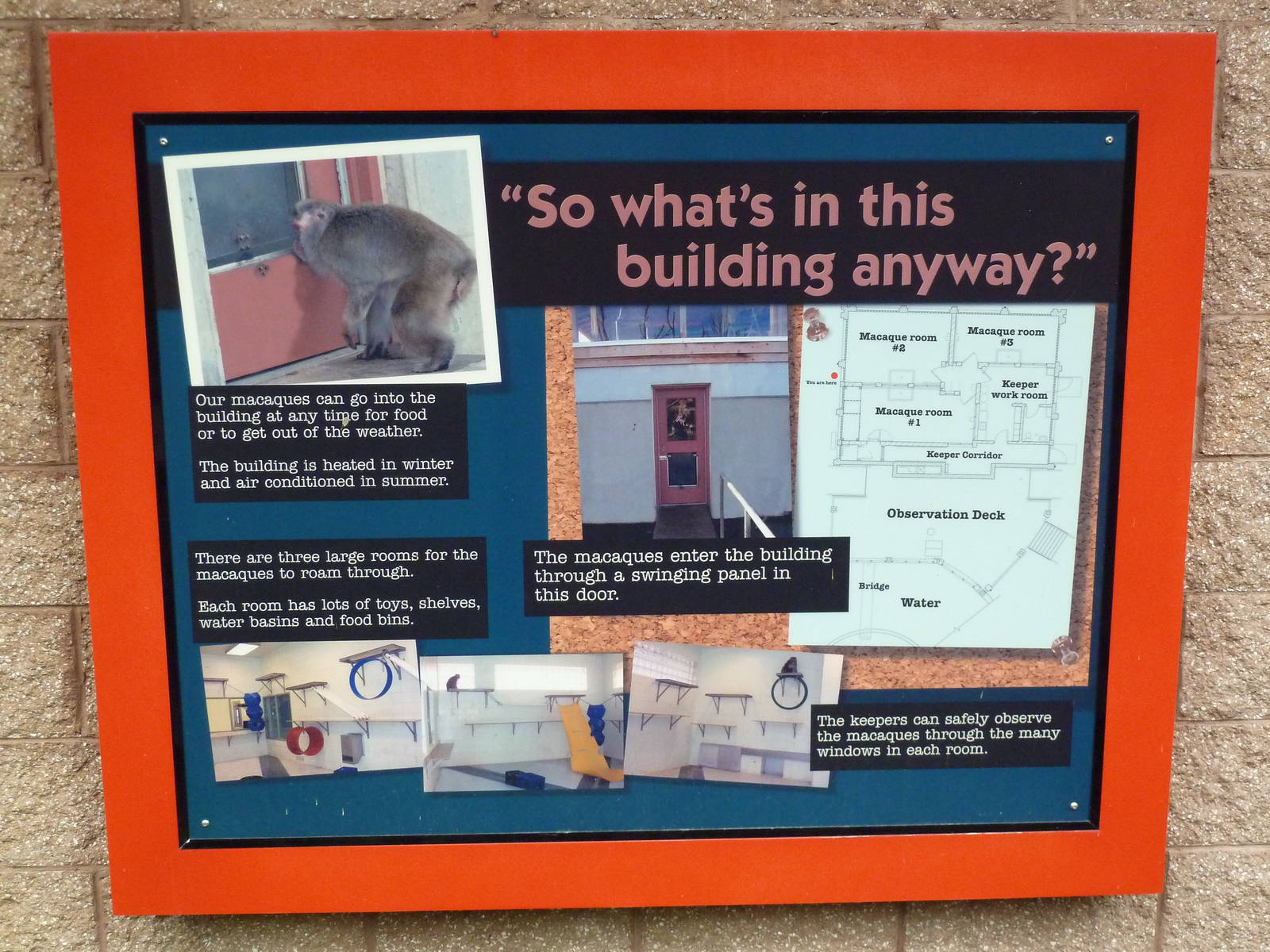 Japanese Macaque Exhibit - Signage