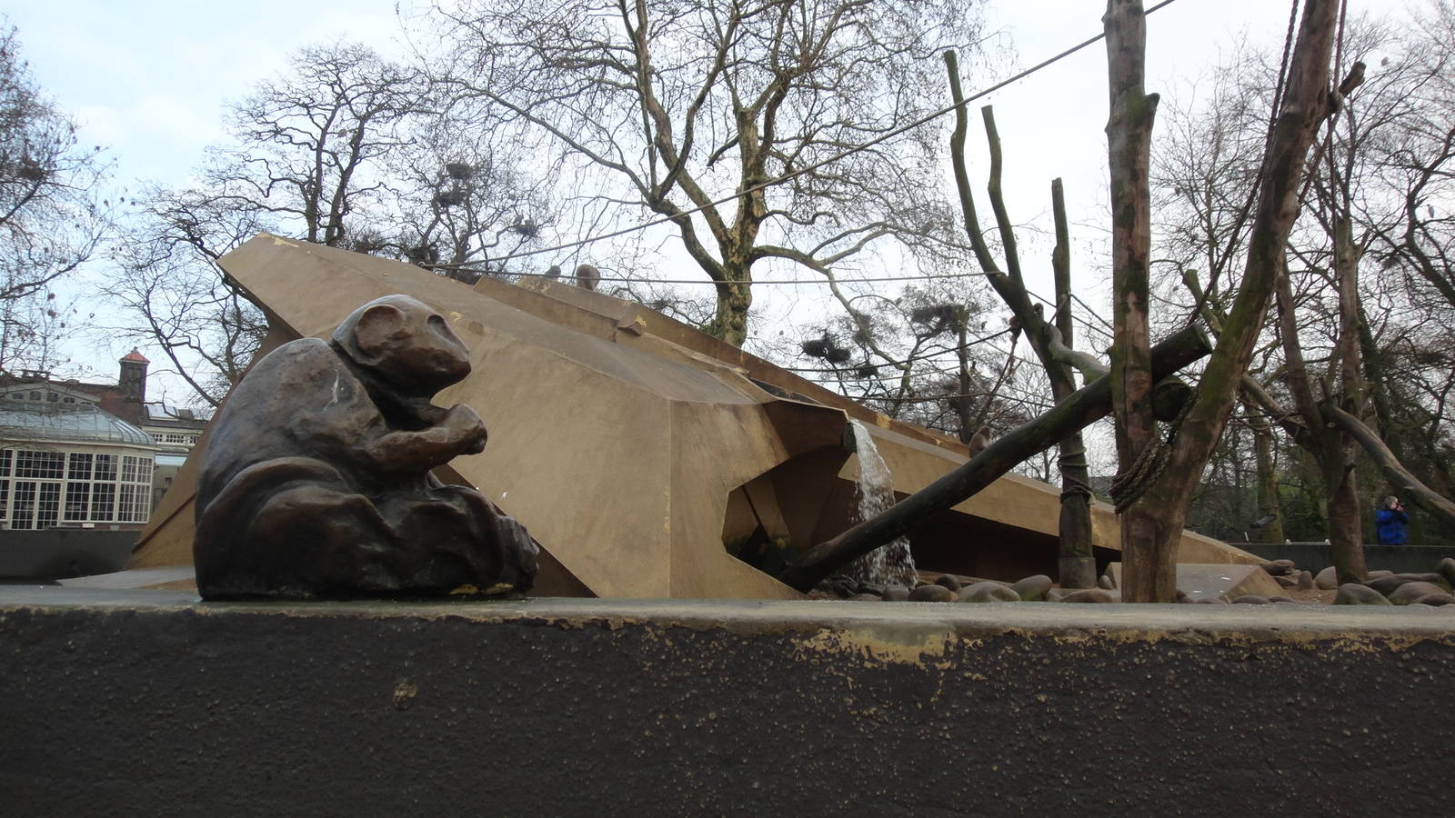 Japanese Macaque Exhibit