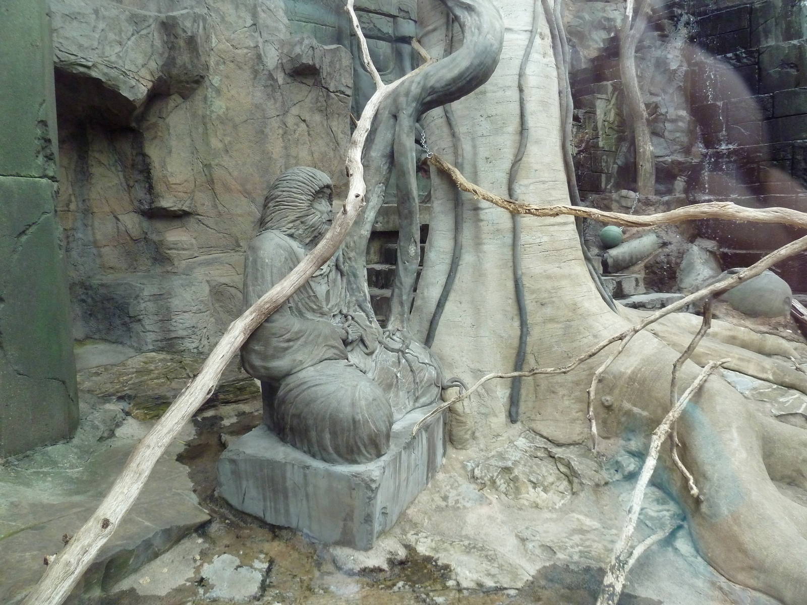 Japanese Macaque Exhibit