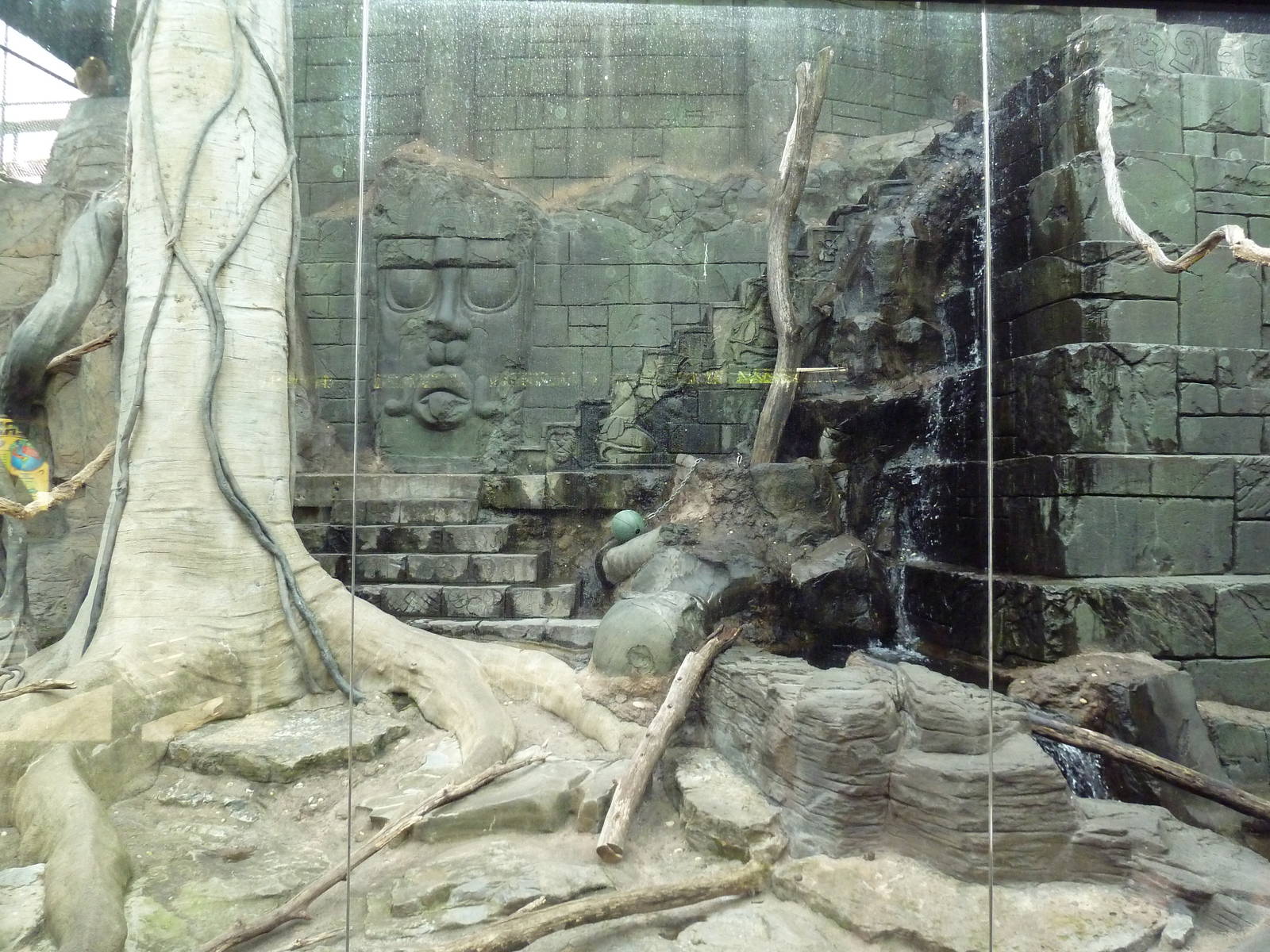 Japanese Macaque Exhibit