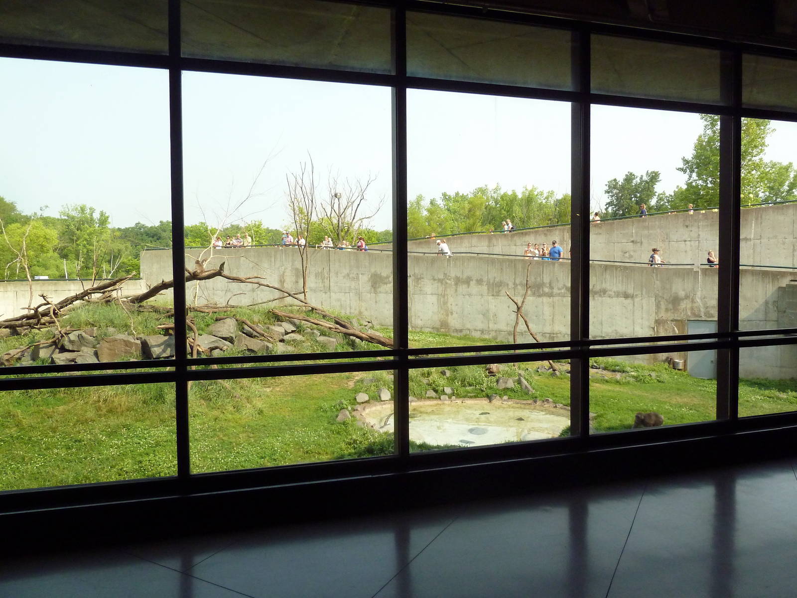 Japanese Macaque Exhibit