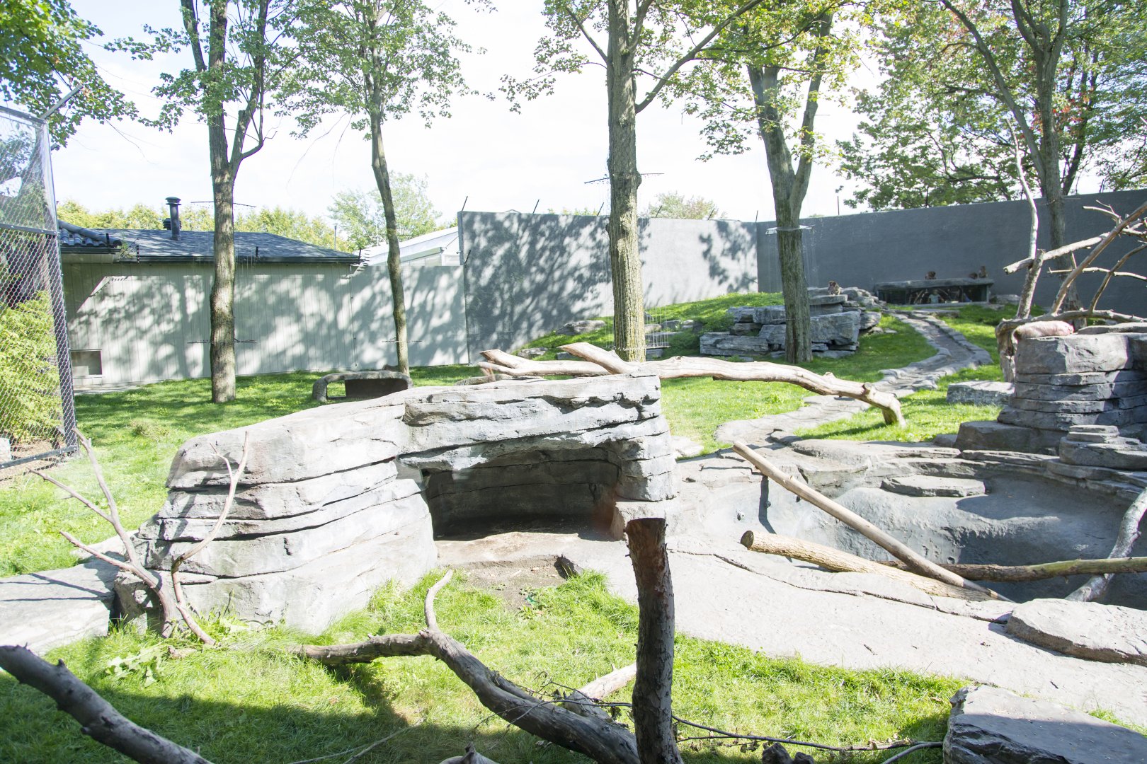 Japanese Macaque Exhibit