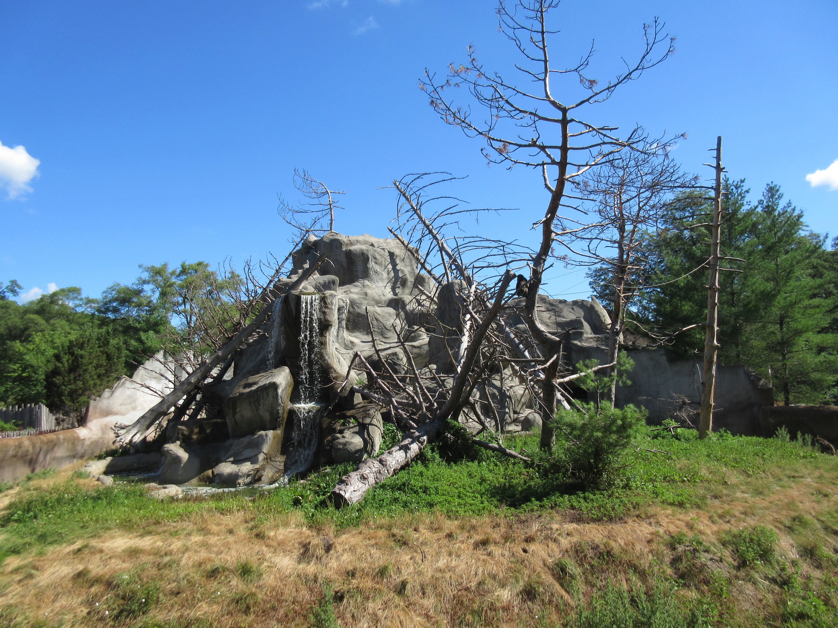 Japanese Macaque Exhibit