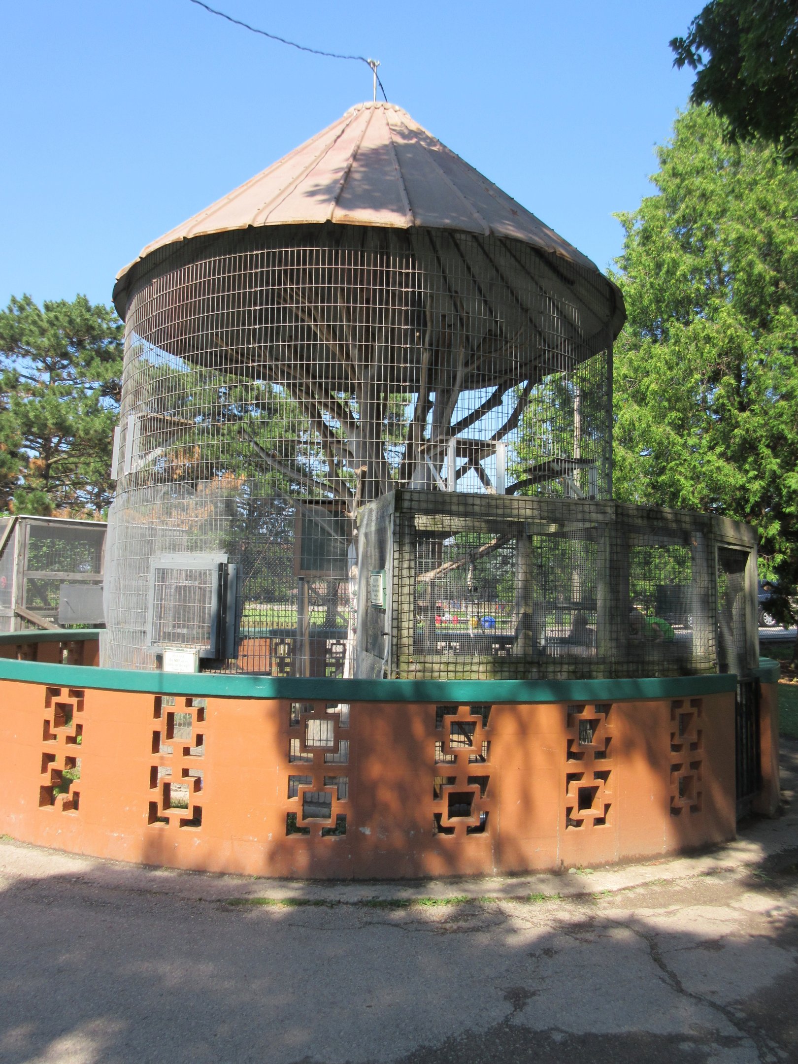 Japanese Macaque Exhibit