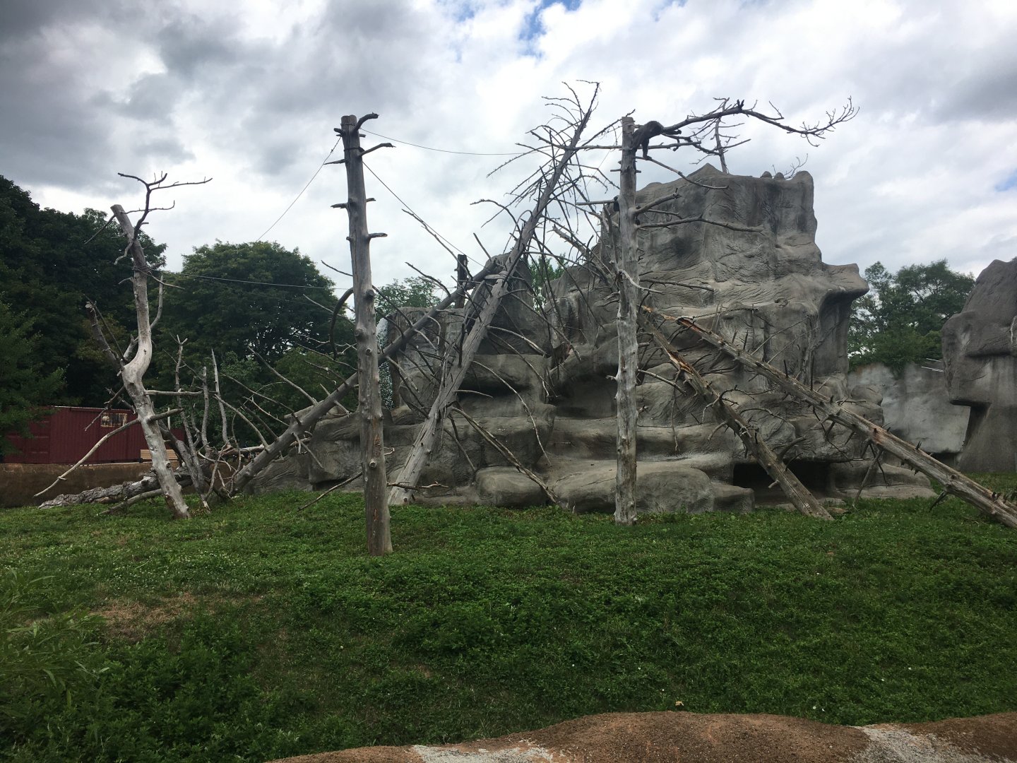 Japanese Macaque exhibit