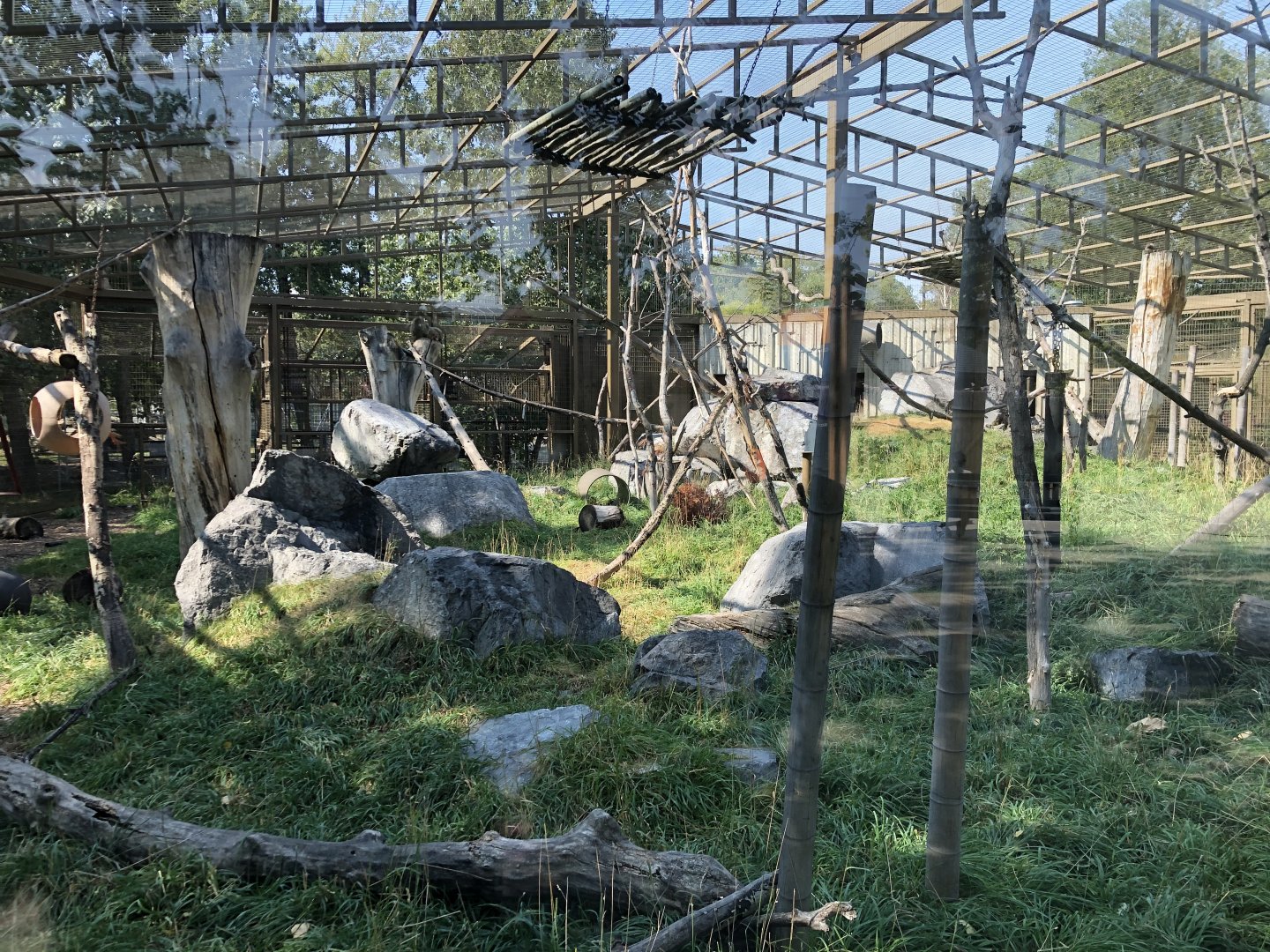 Japanese Macaque Exhibit