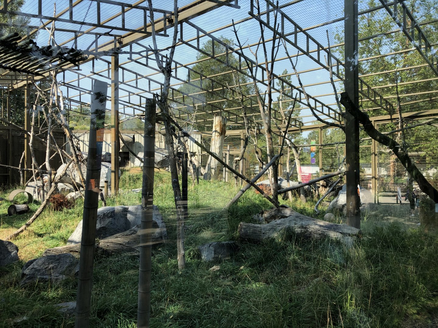Japanese Macaque Exhibit