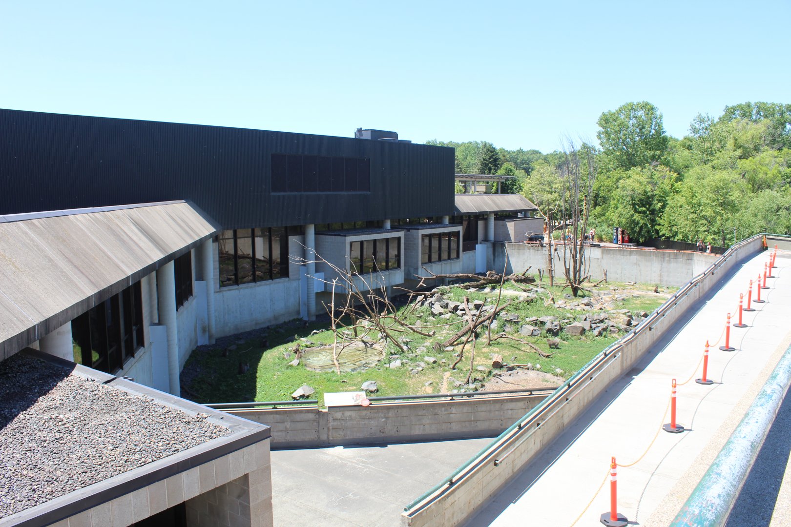 Japanese Macaque Exhibit