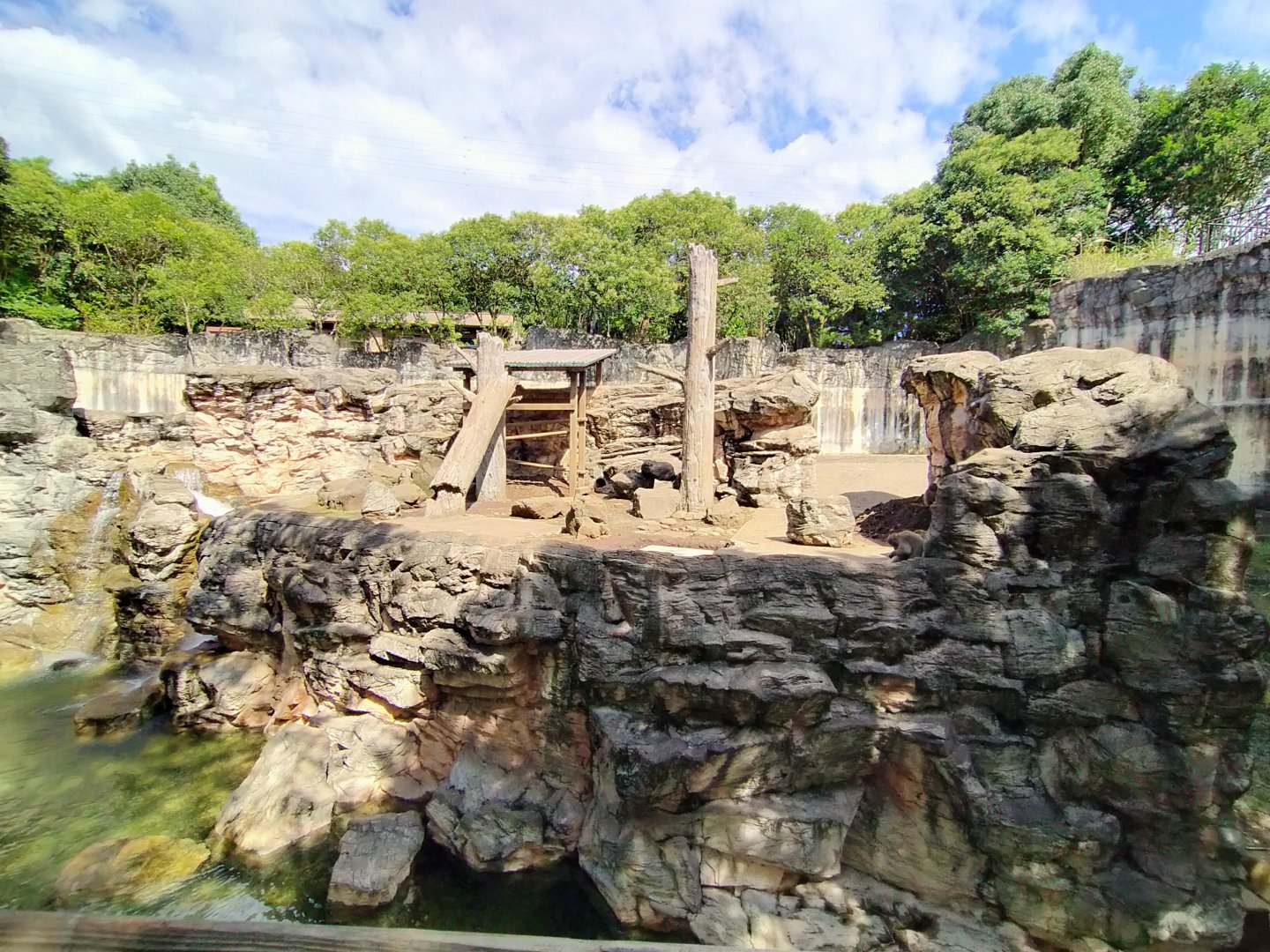 Japanese macaque exhibit