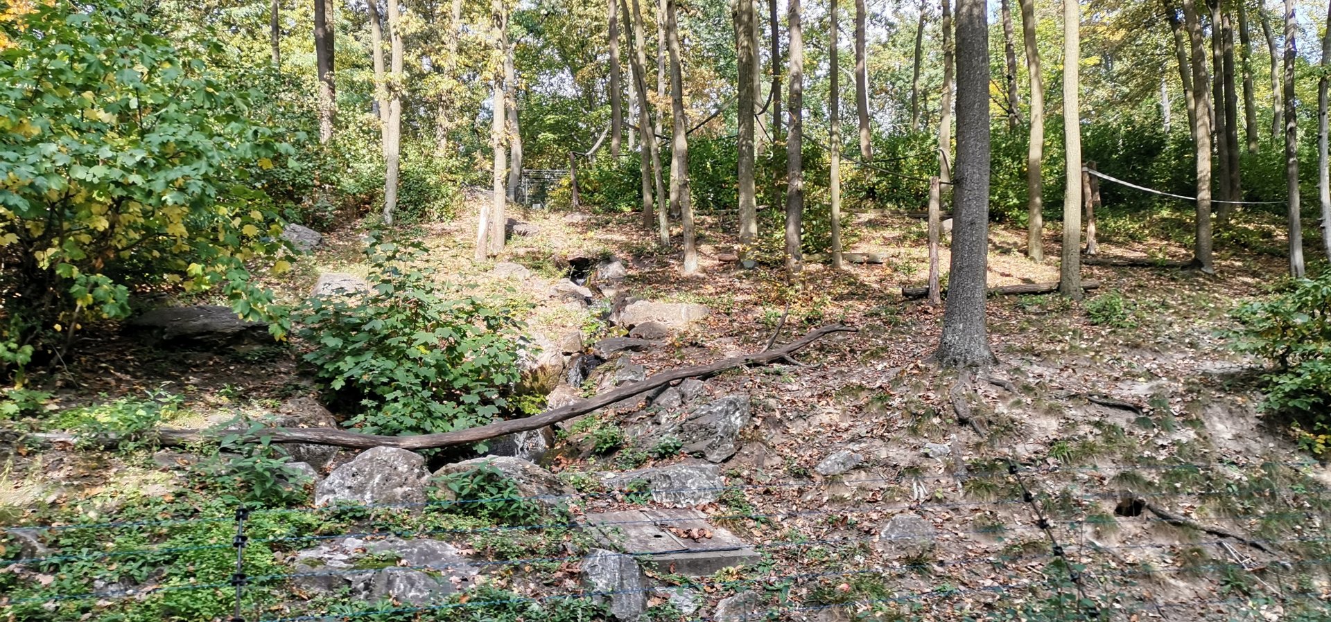Japanese Macaque exhibit