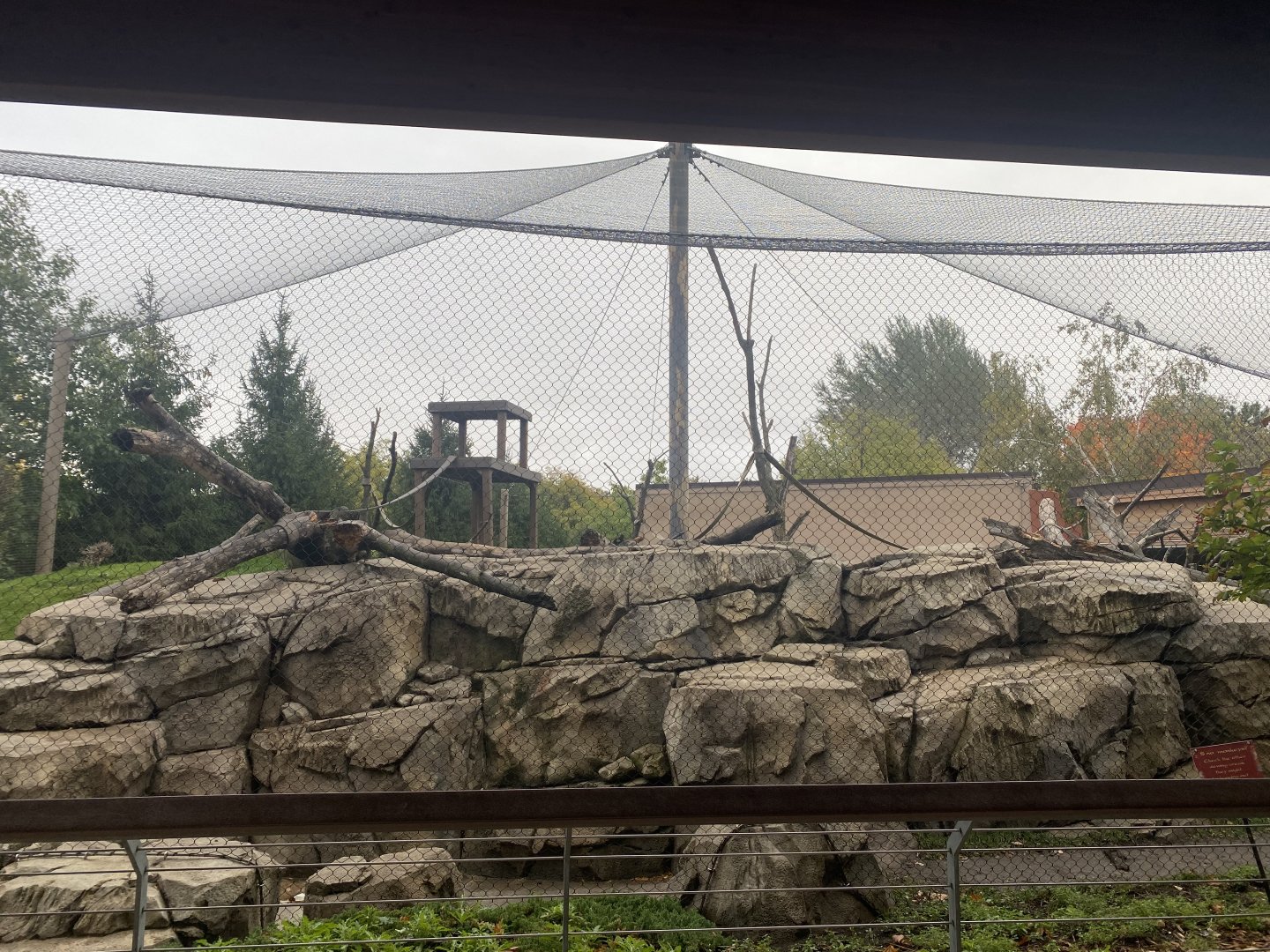 Japanese Macaque Exhibit