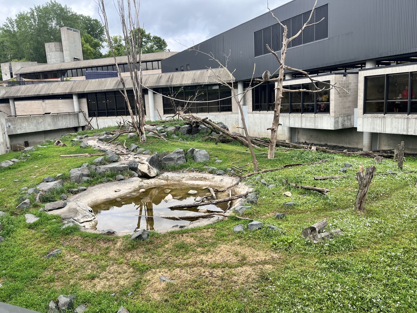 Japanese Macaque Exhibit