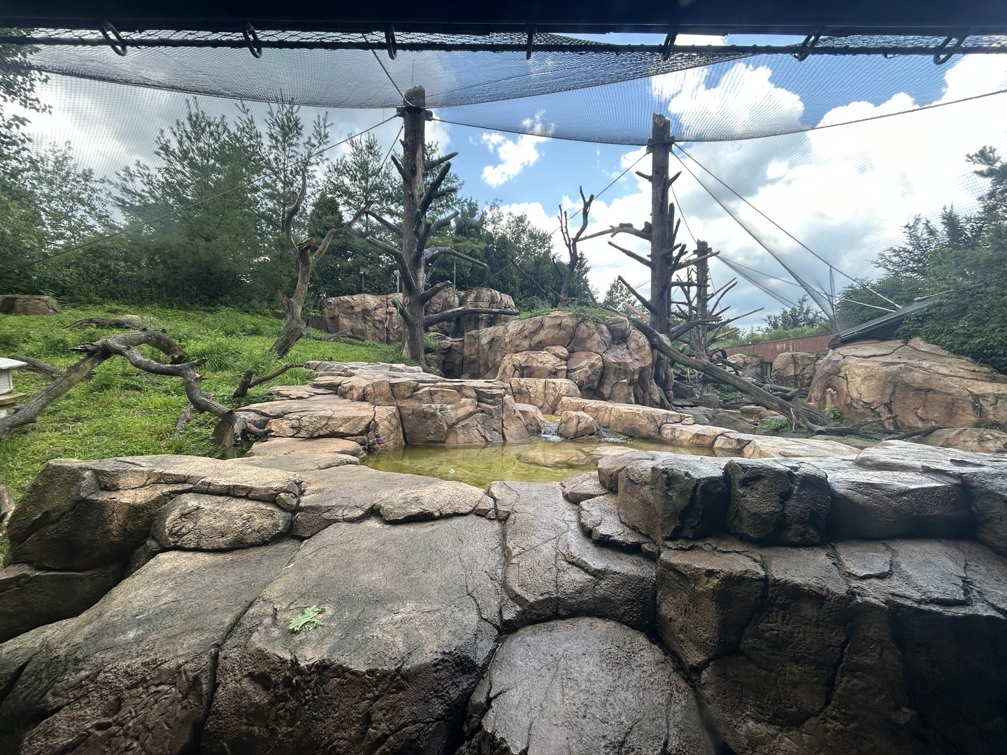 Japanese Macaque Exhibit
