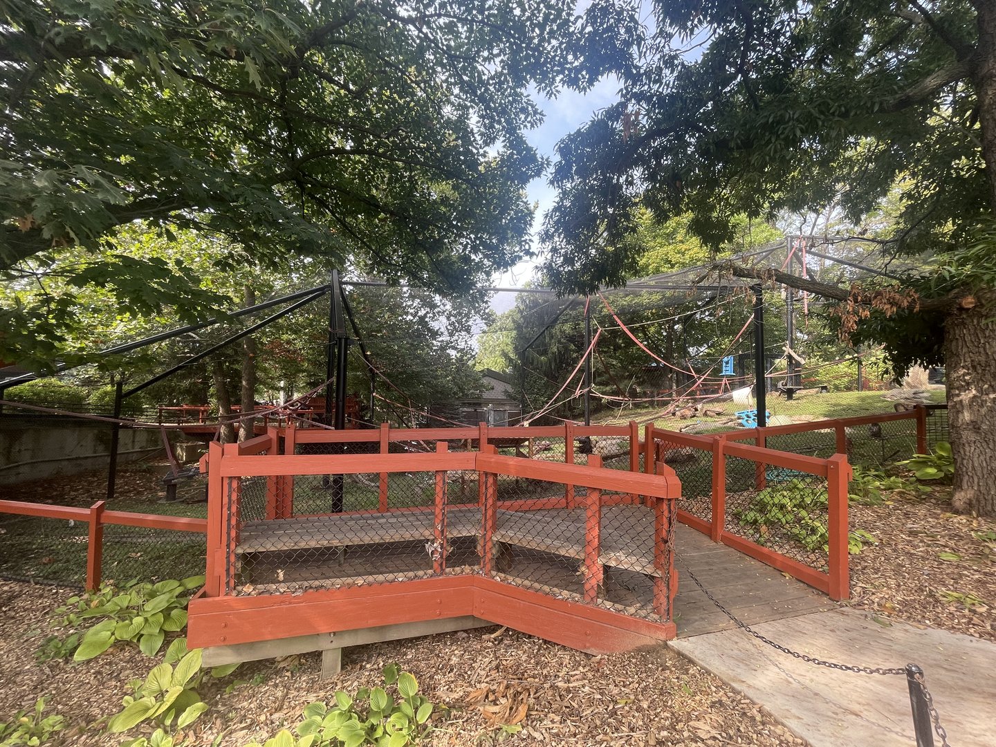 Japanese Macaque Exhibit