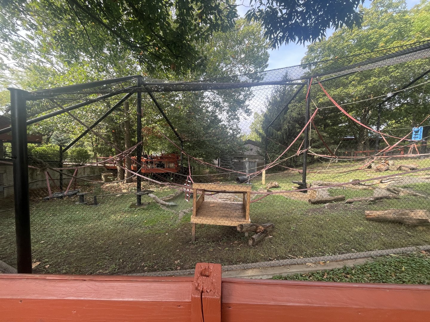 Japanese Macaque Exhibit