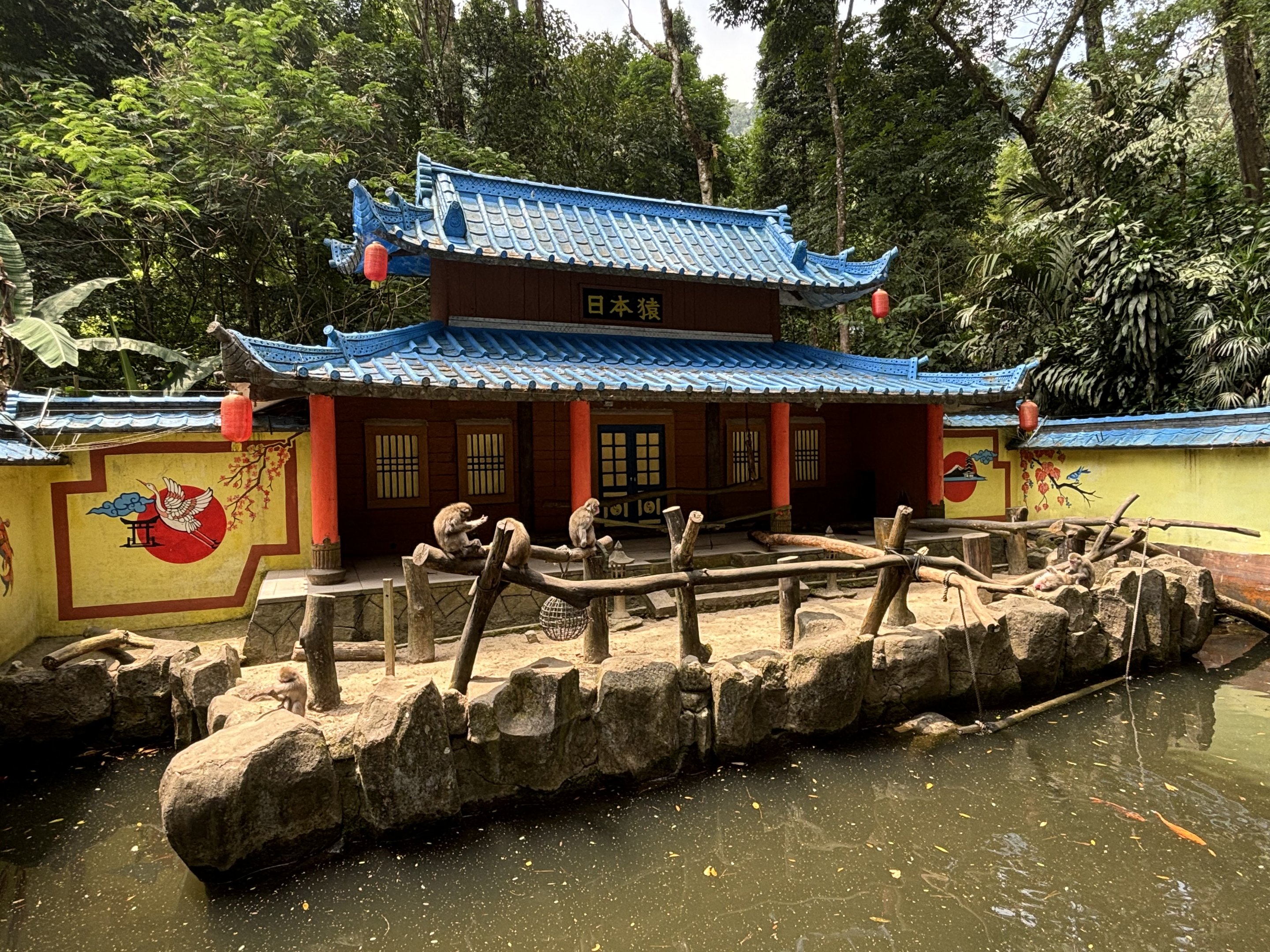 Japanese Macaque Exhibit