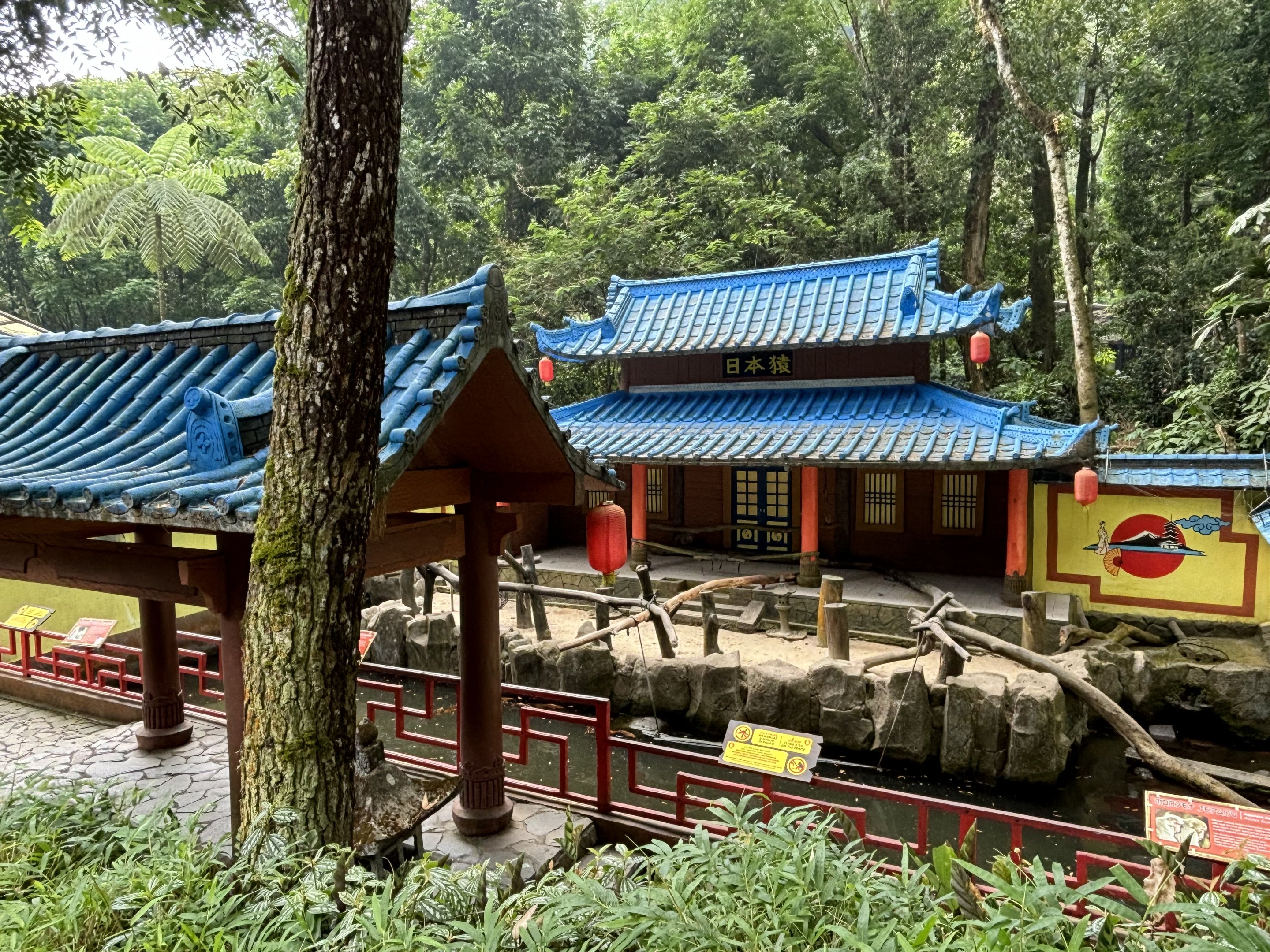 Japanese Macaque Exhibit