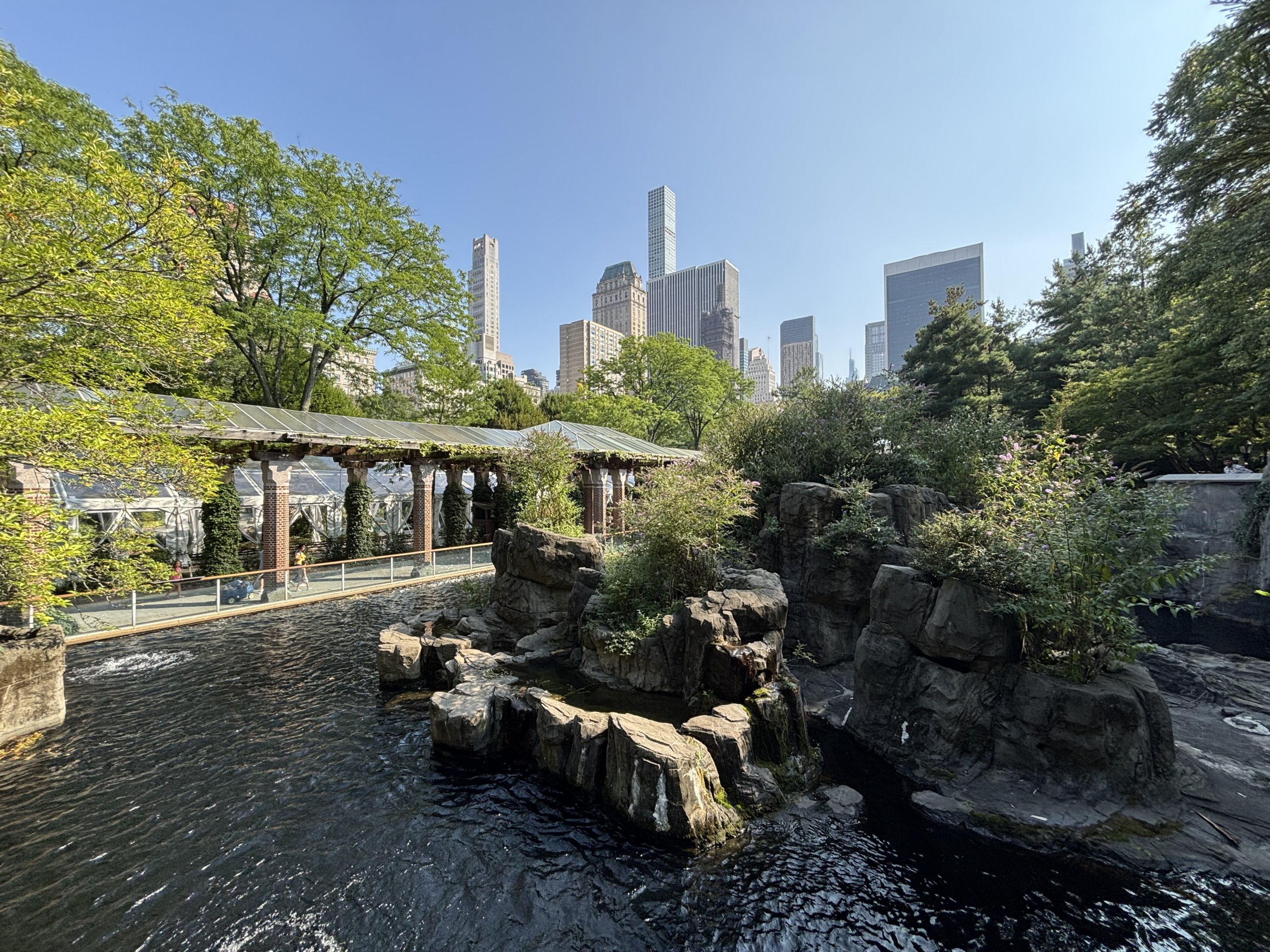 Japanese Macaque Exhibit