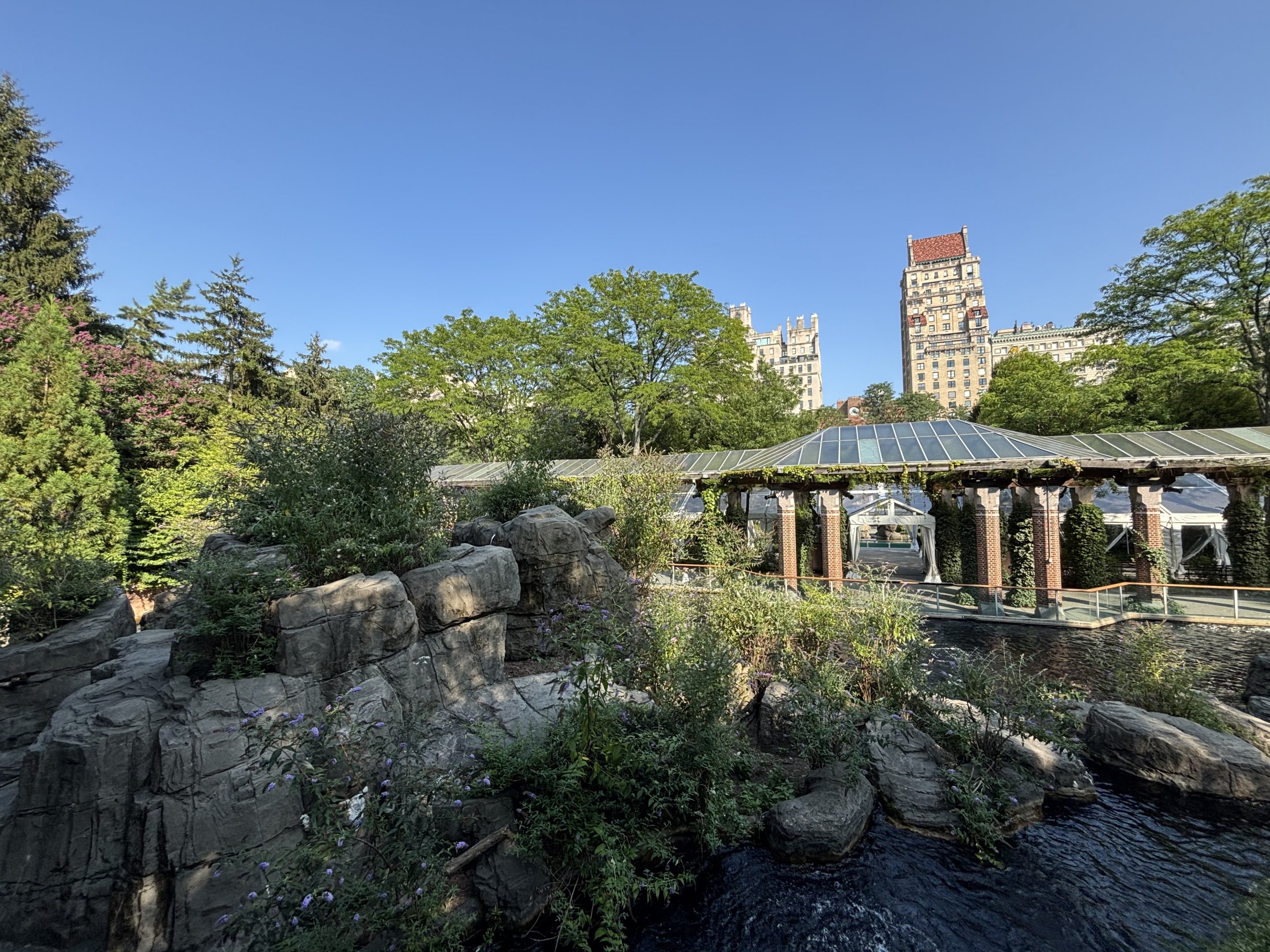 Japanese Macaque Exhibit