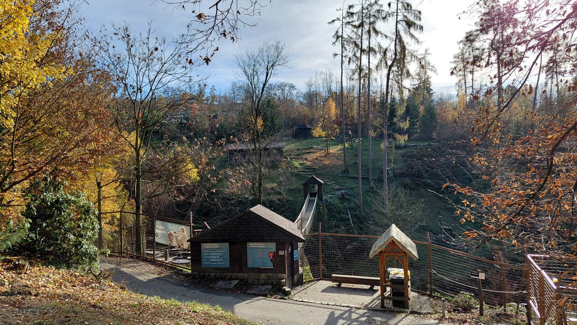 Japanese macaque exhibit