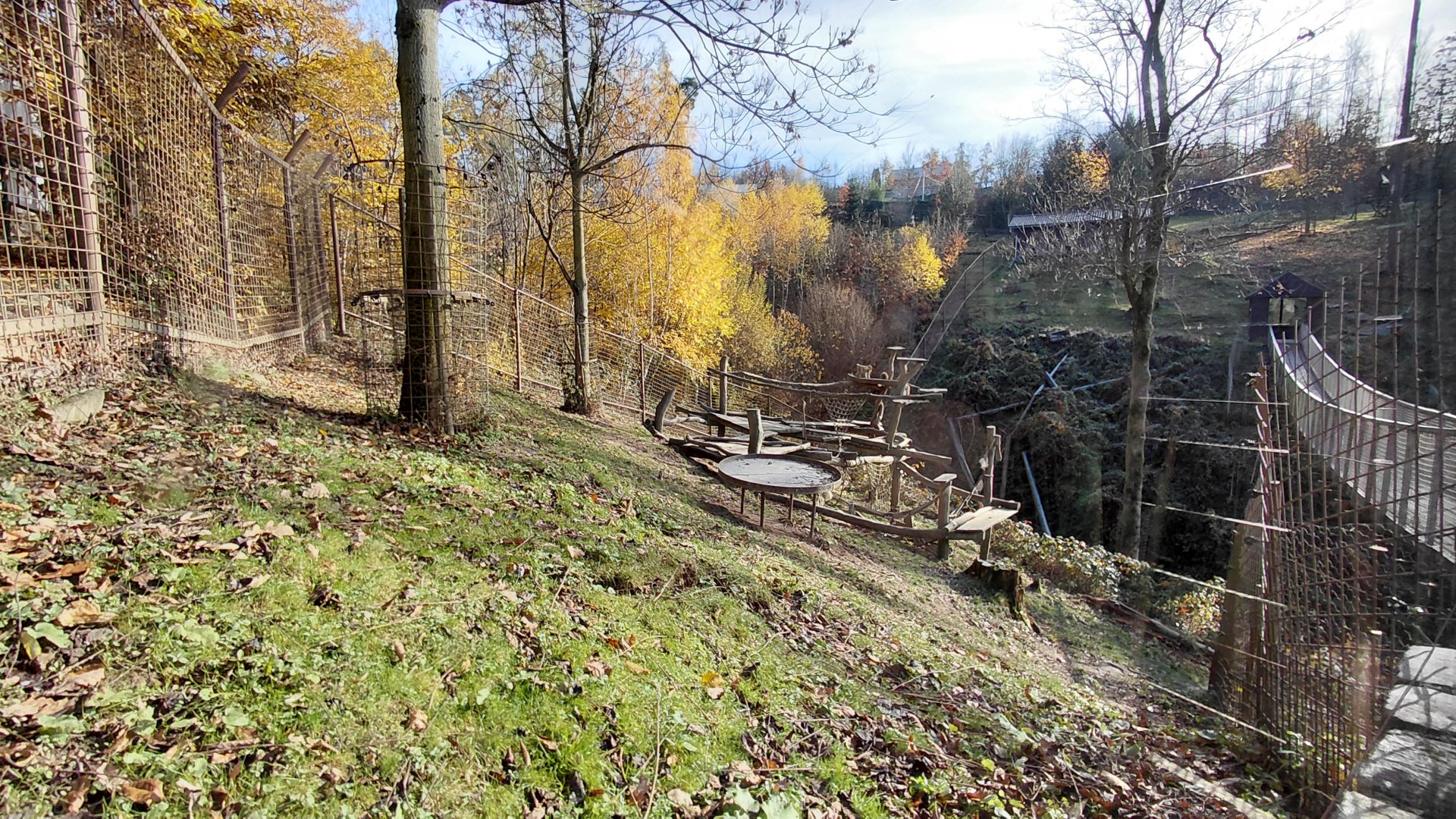 Japanese macaque exhibit