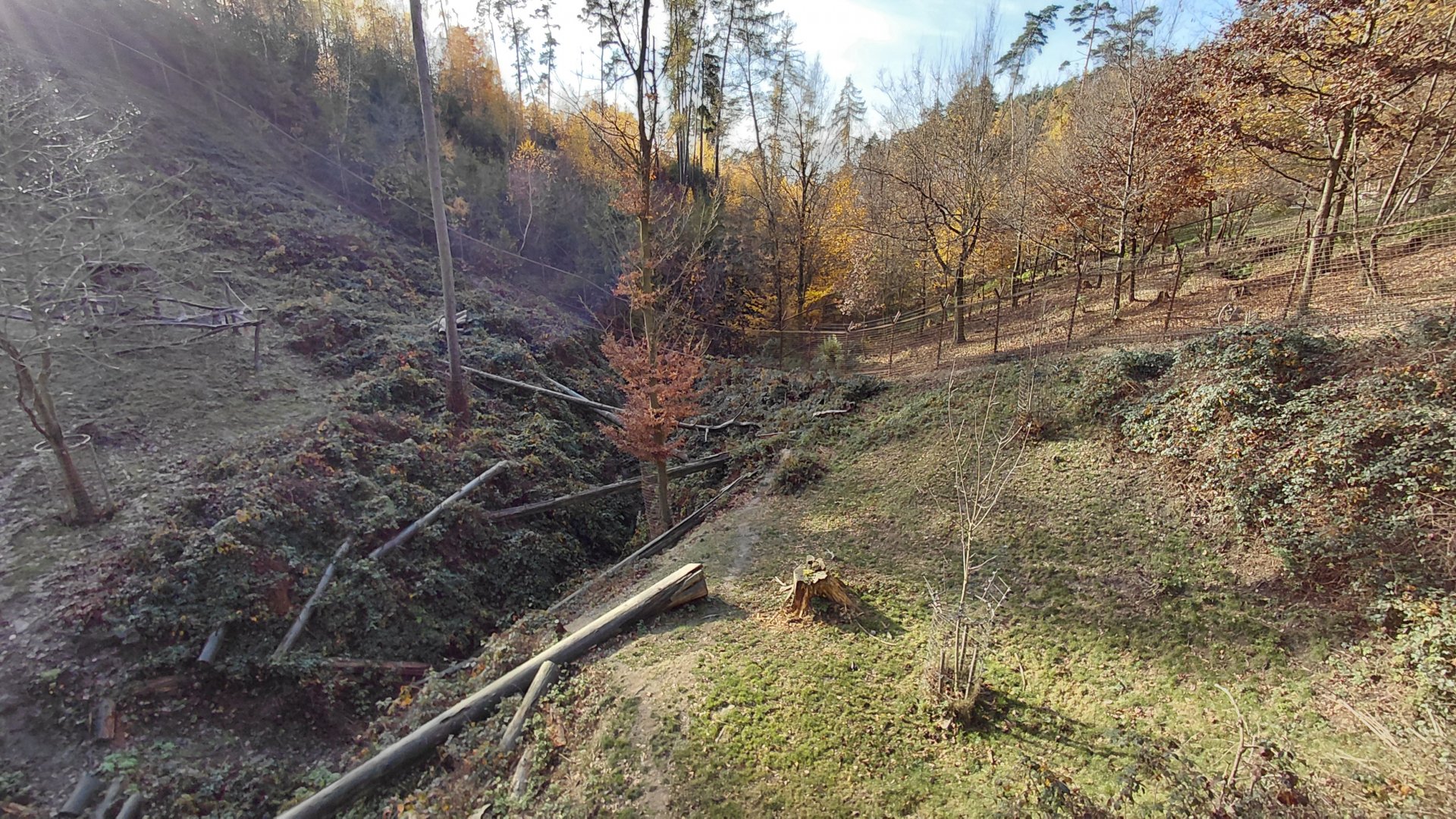 Japanese macaque exhibit