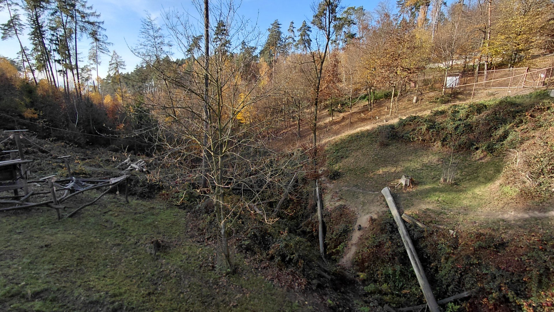 Japanese macaque exhibit