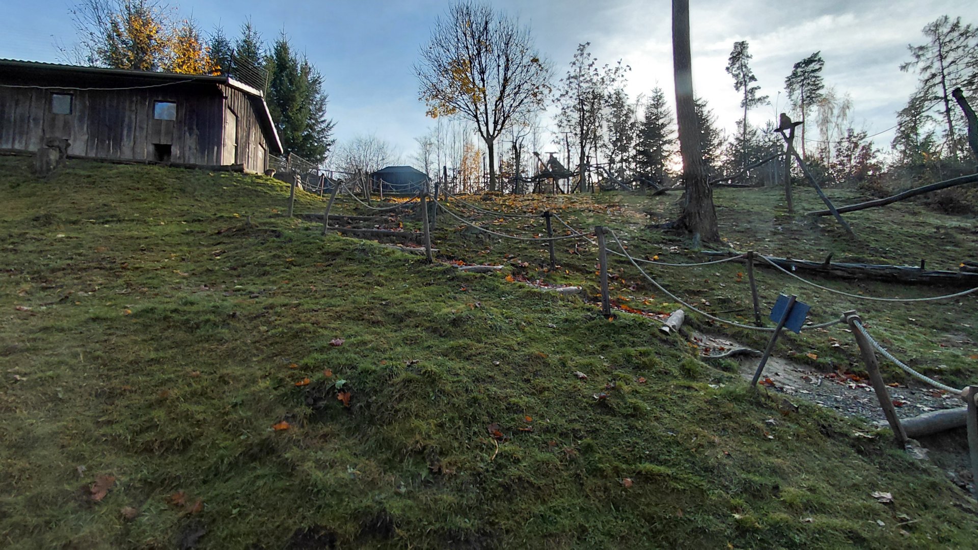 Japanese macaque exhibit
