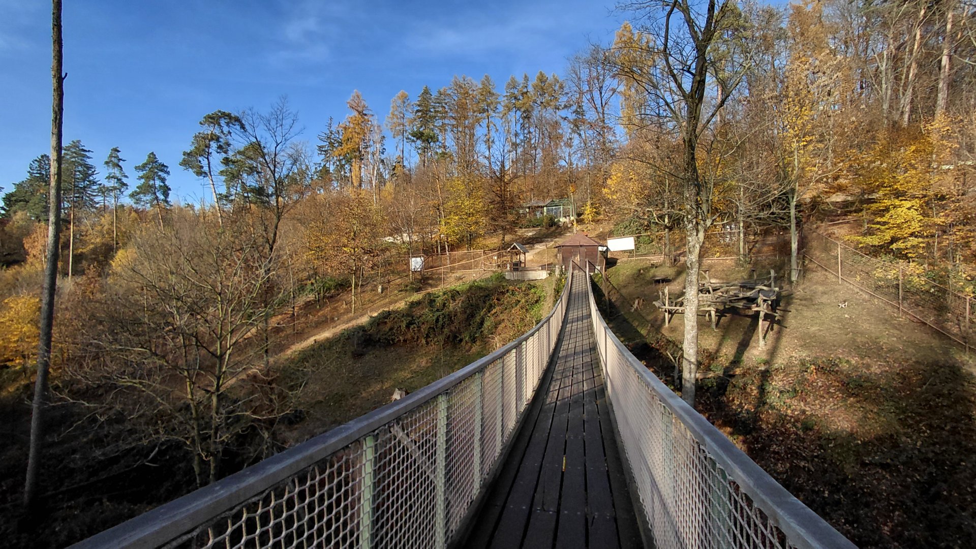 Japanese macaque exhibit