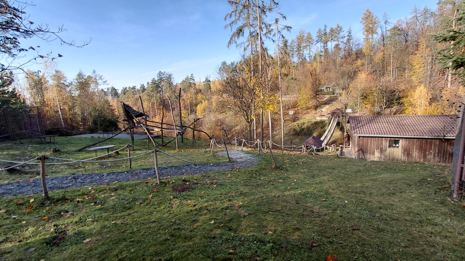 Japanese macaque exhibit