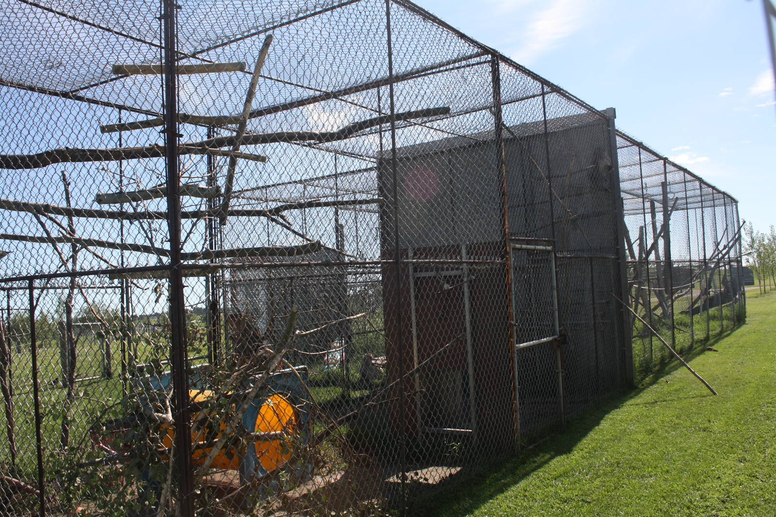 Japanese Macaque Exhibits (two cages)