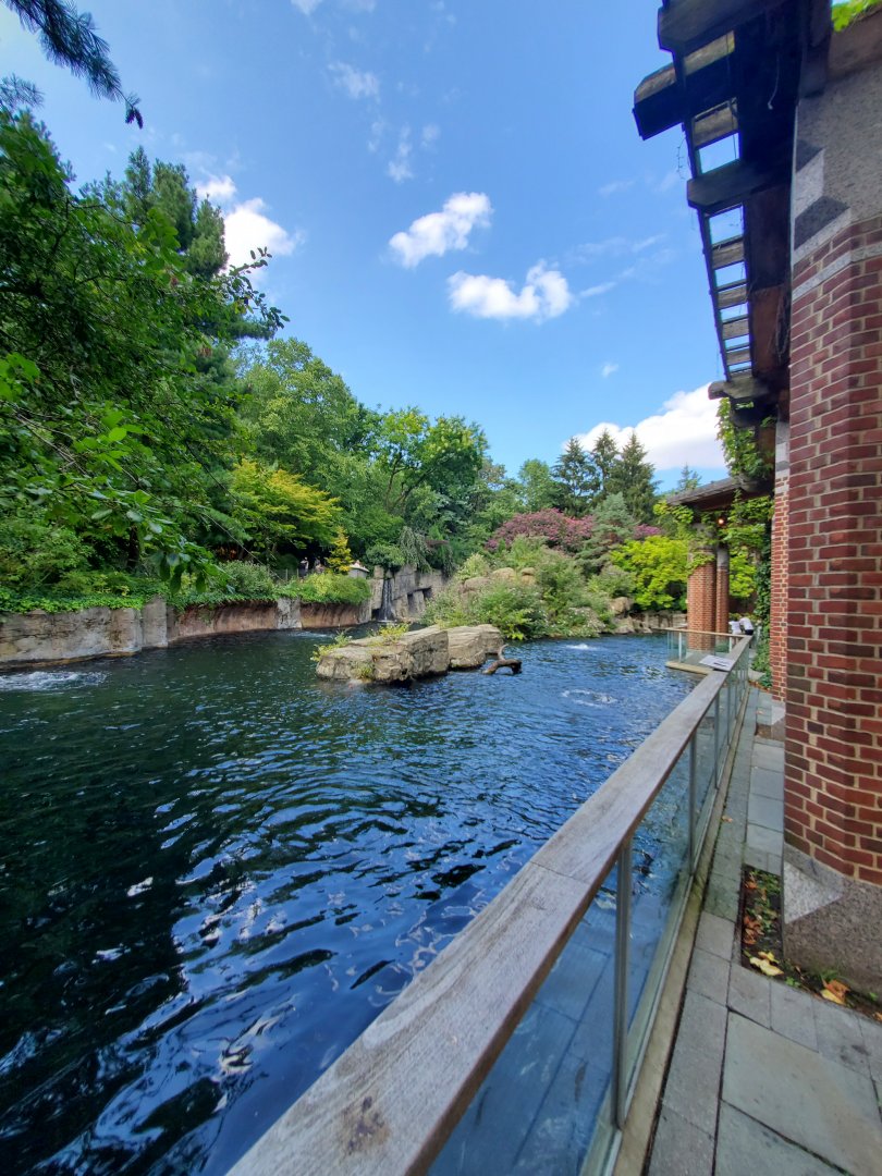 Japanese Macaque Habitat - August 2021