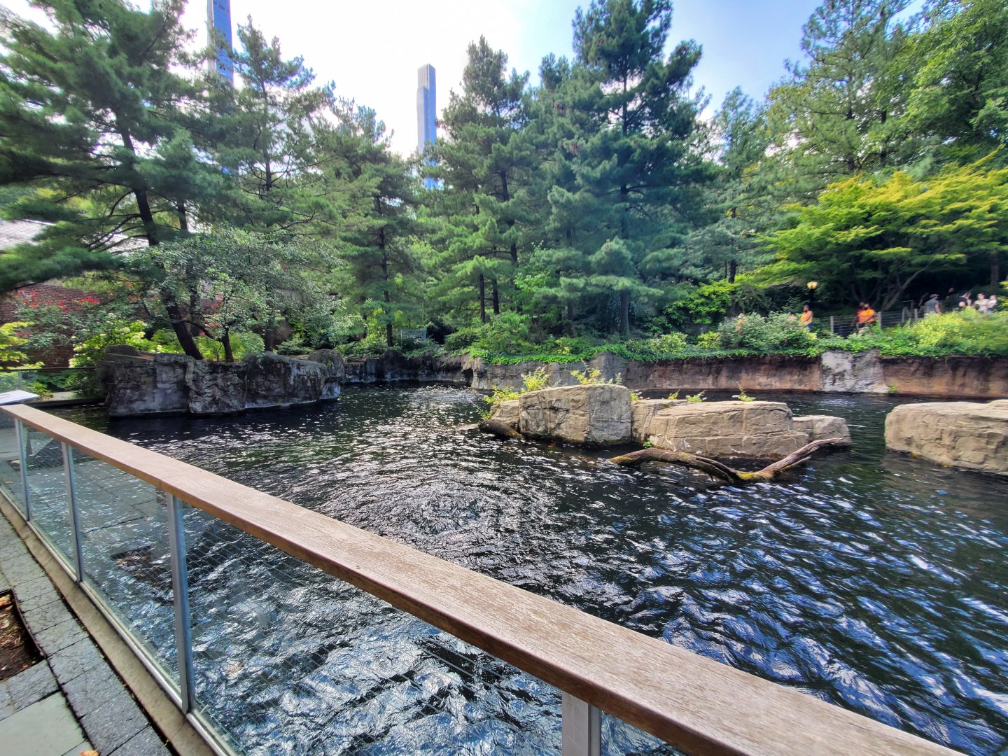 Japanese Macaque Habitat - August 2021