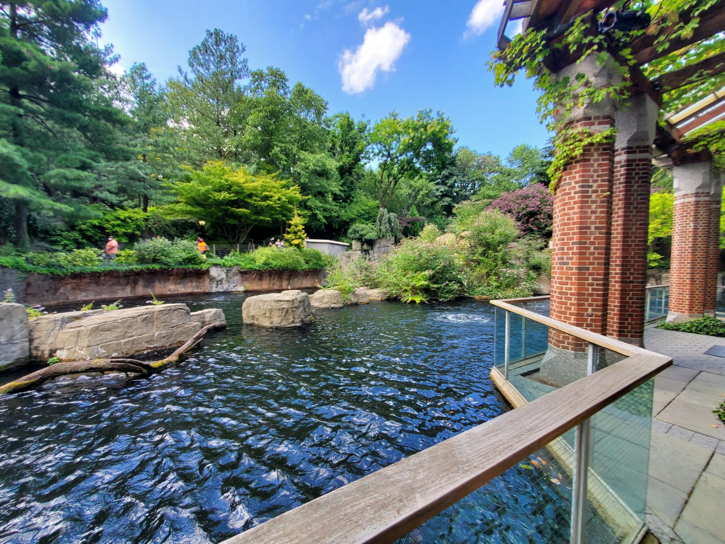 Japanese Macaque Habitat - August 2021