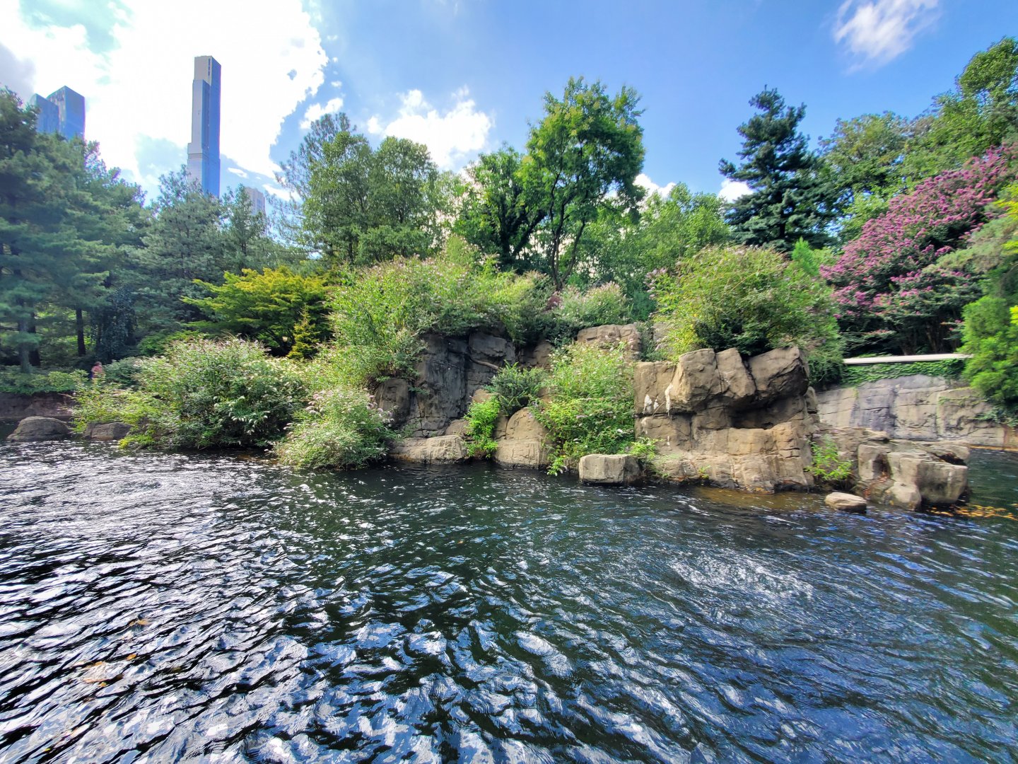 Japanese Macaque Habitat - August 2021