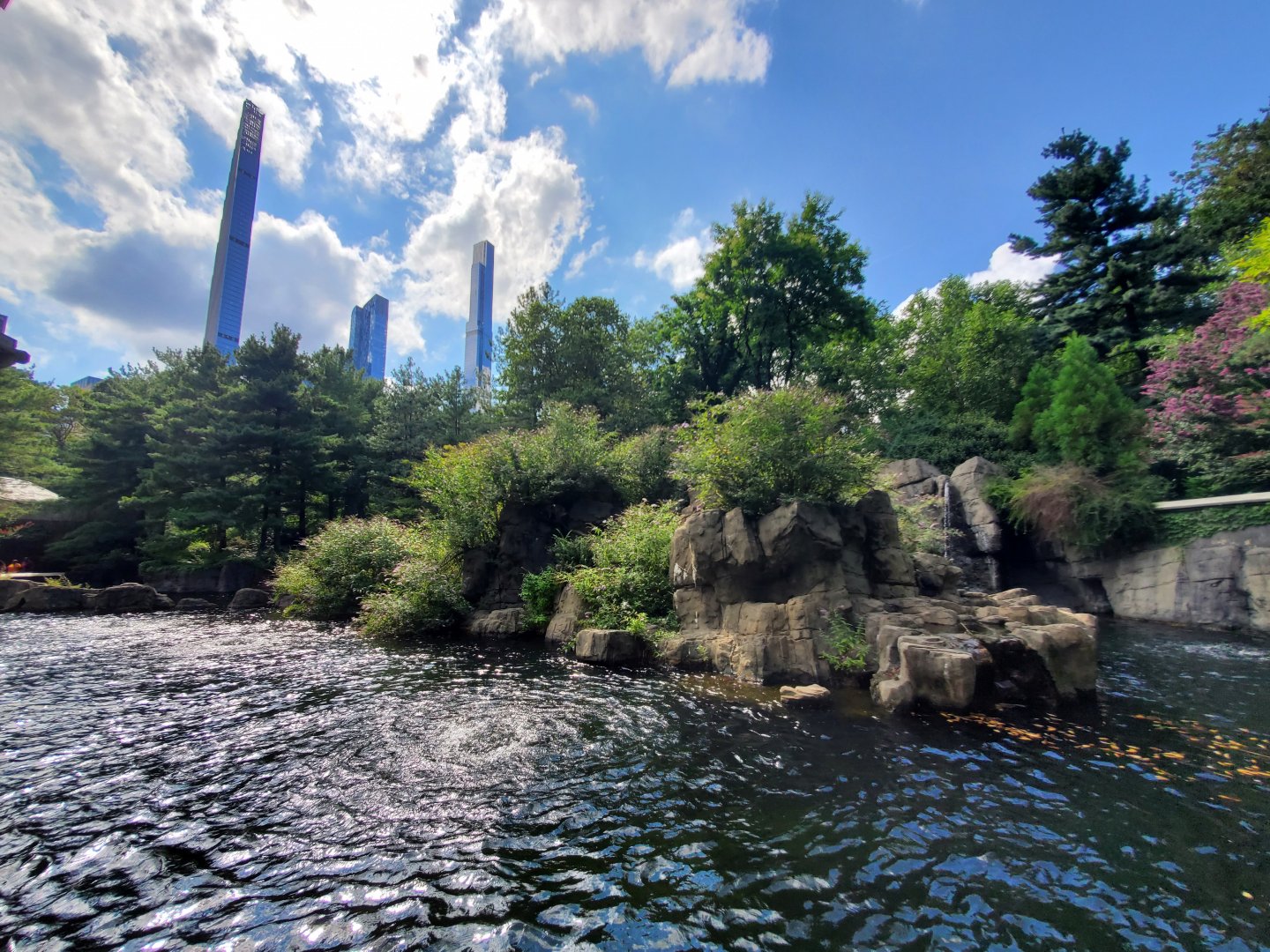 Japanese Macaque Habitat - August 2021