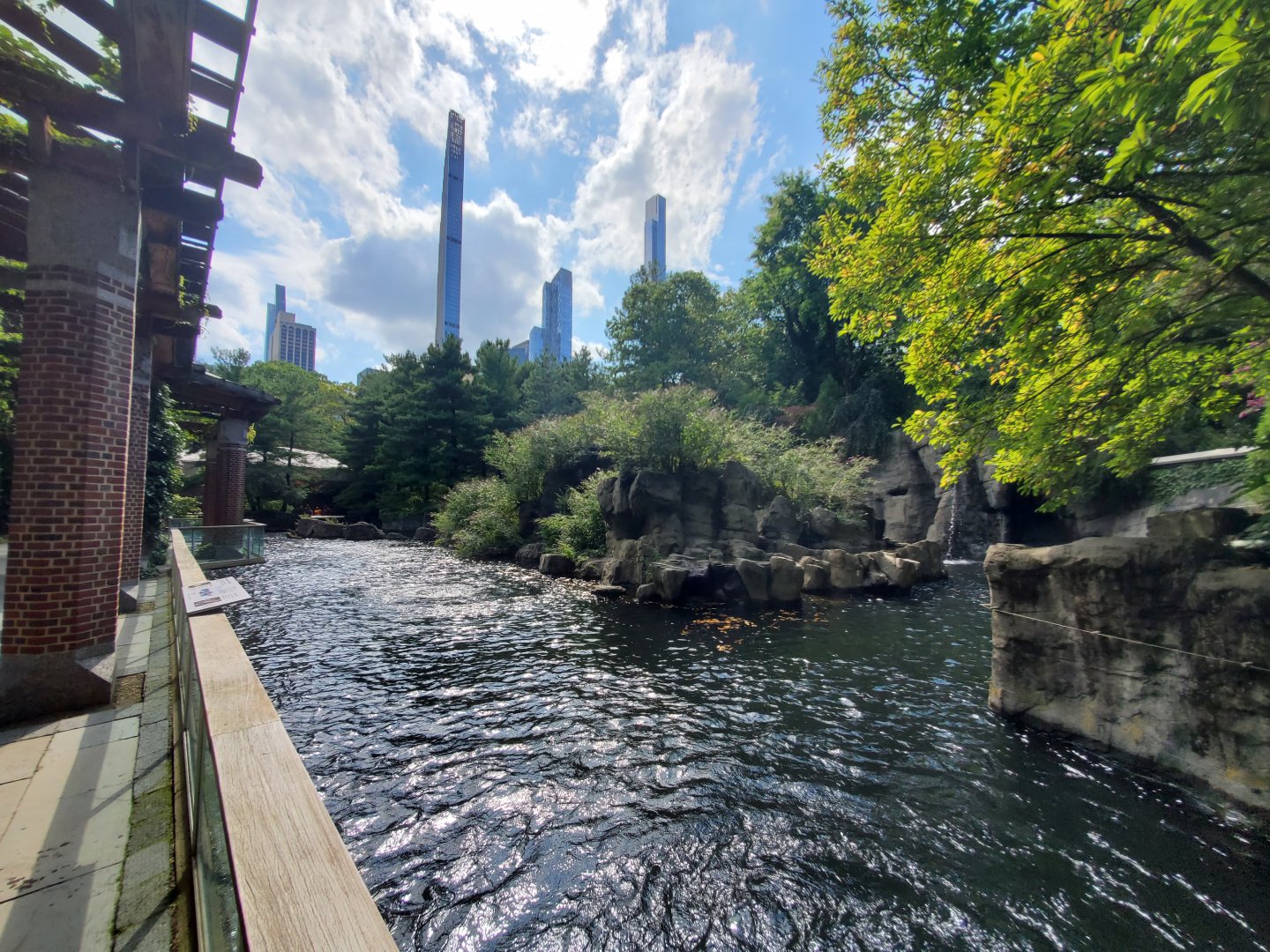 Japanese Macaque Habitat - August 2021