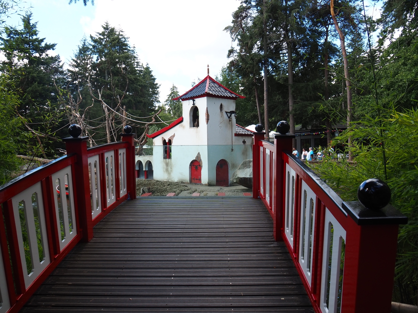 Japanese macaque island viewing area