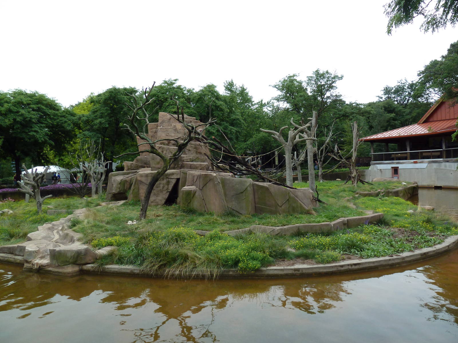 Japanese Macaque Island