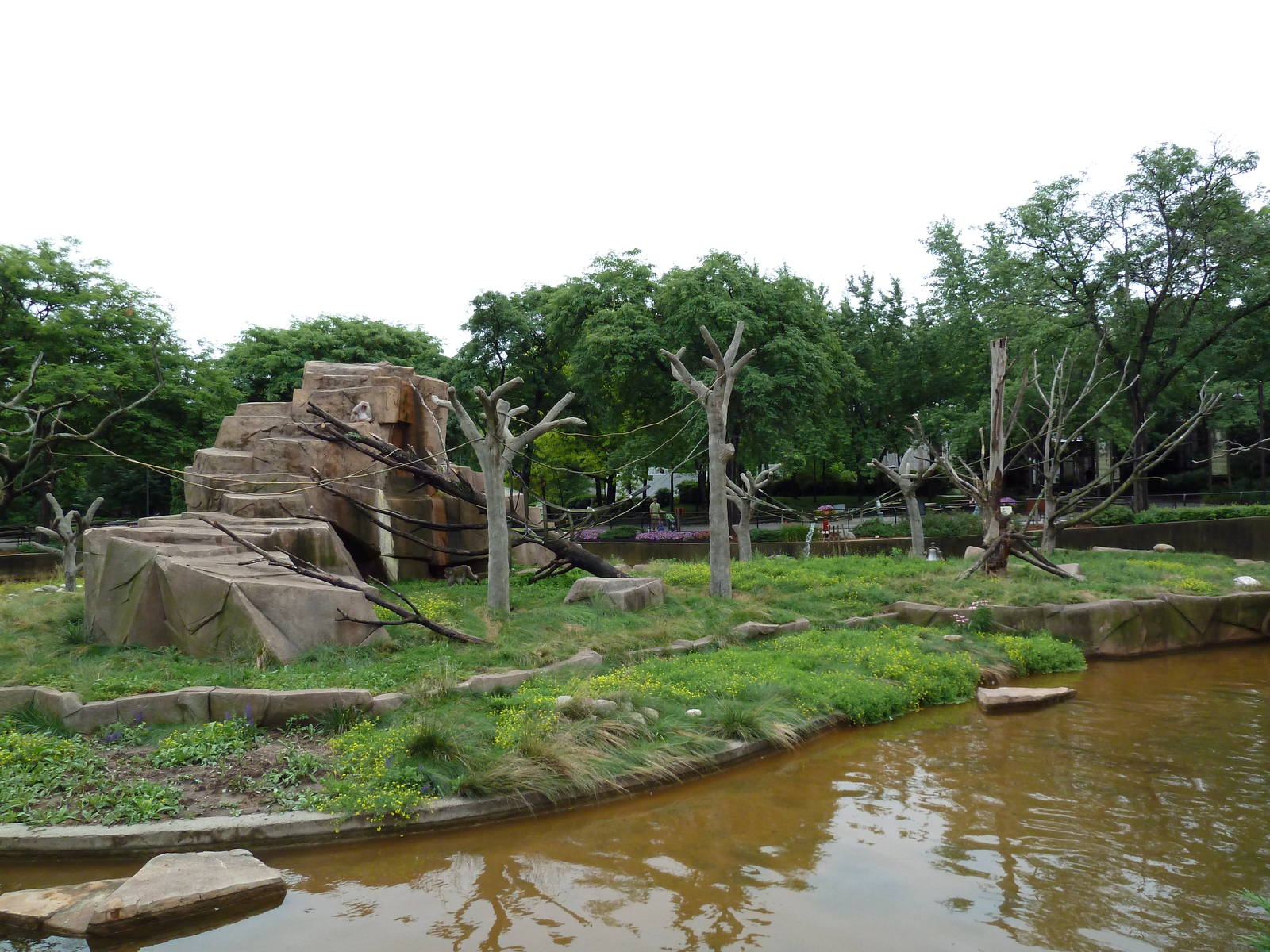 Japanese Macaque Island