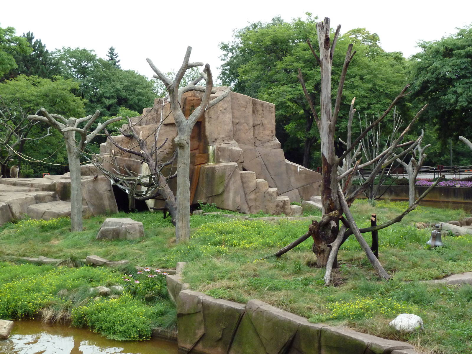 Japanese Macaque Island
