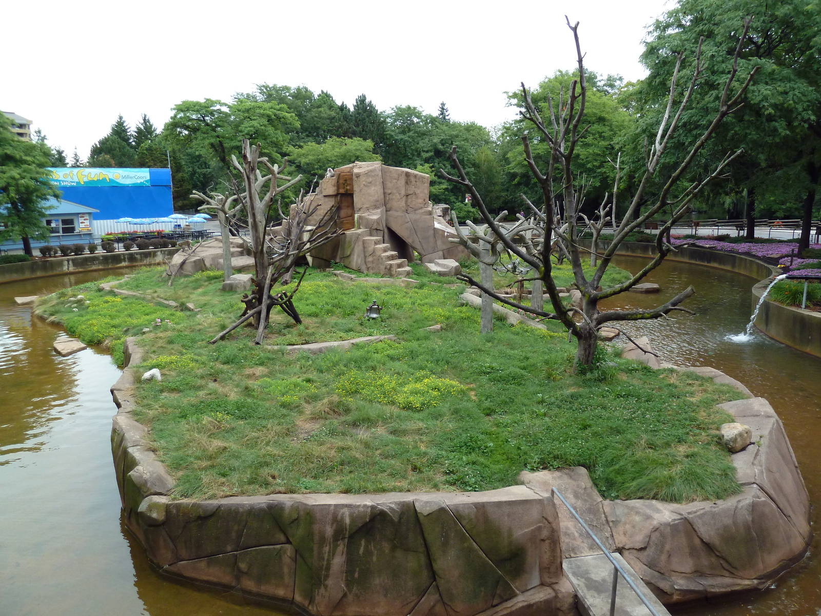 Japanese Macaque Island