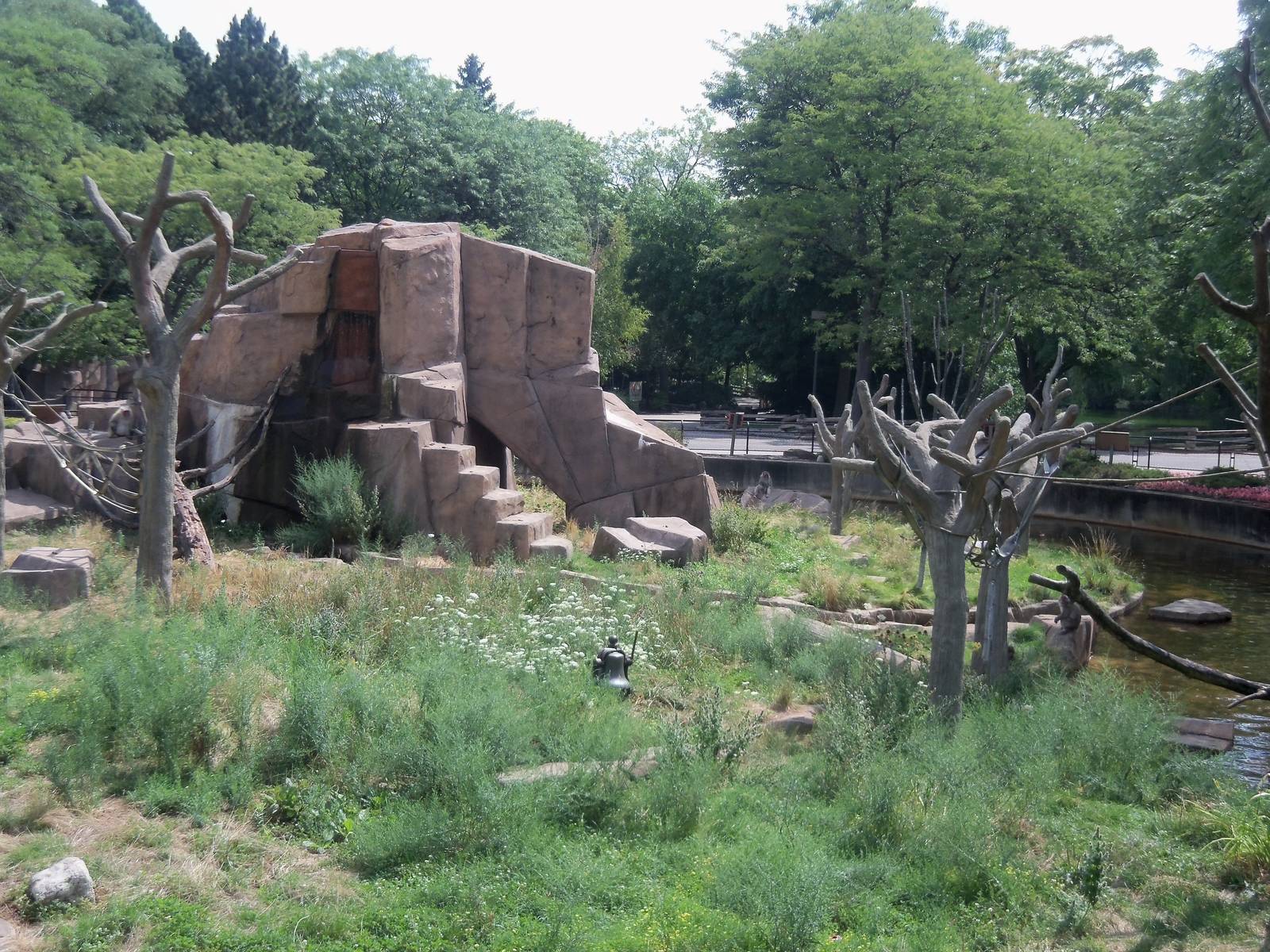Japanese Macaque Island