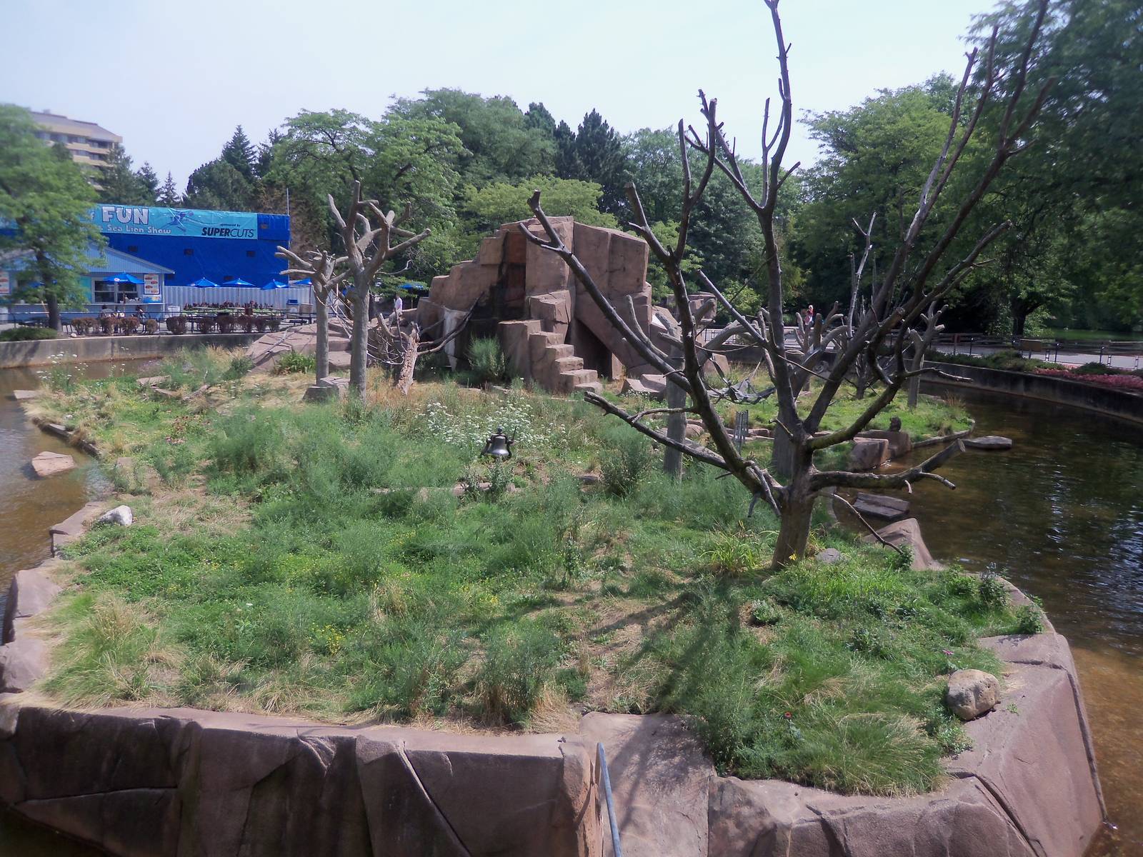 Japanese Macaque Island