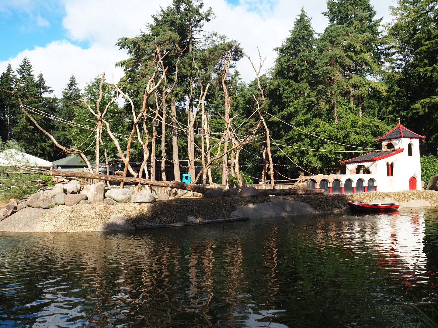 Japanese macaque island