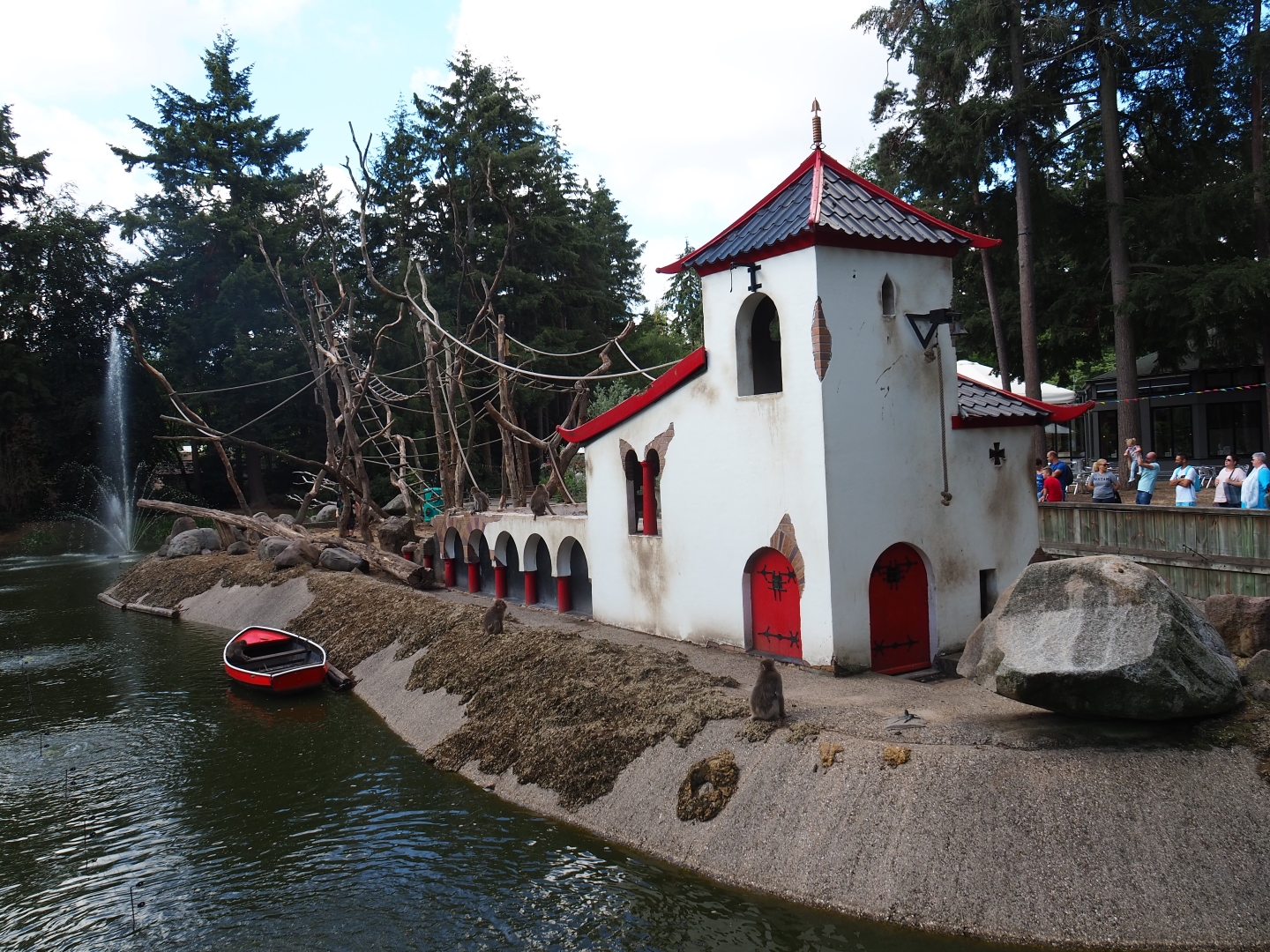 Japanese macaque island