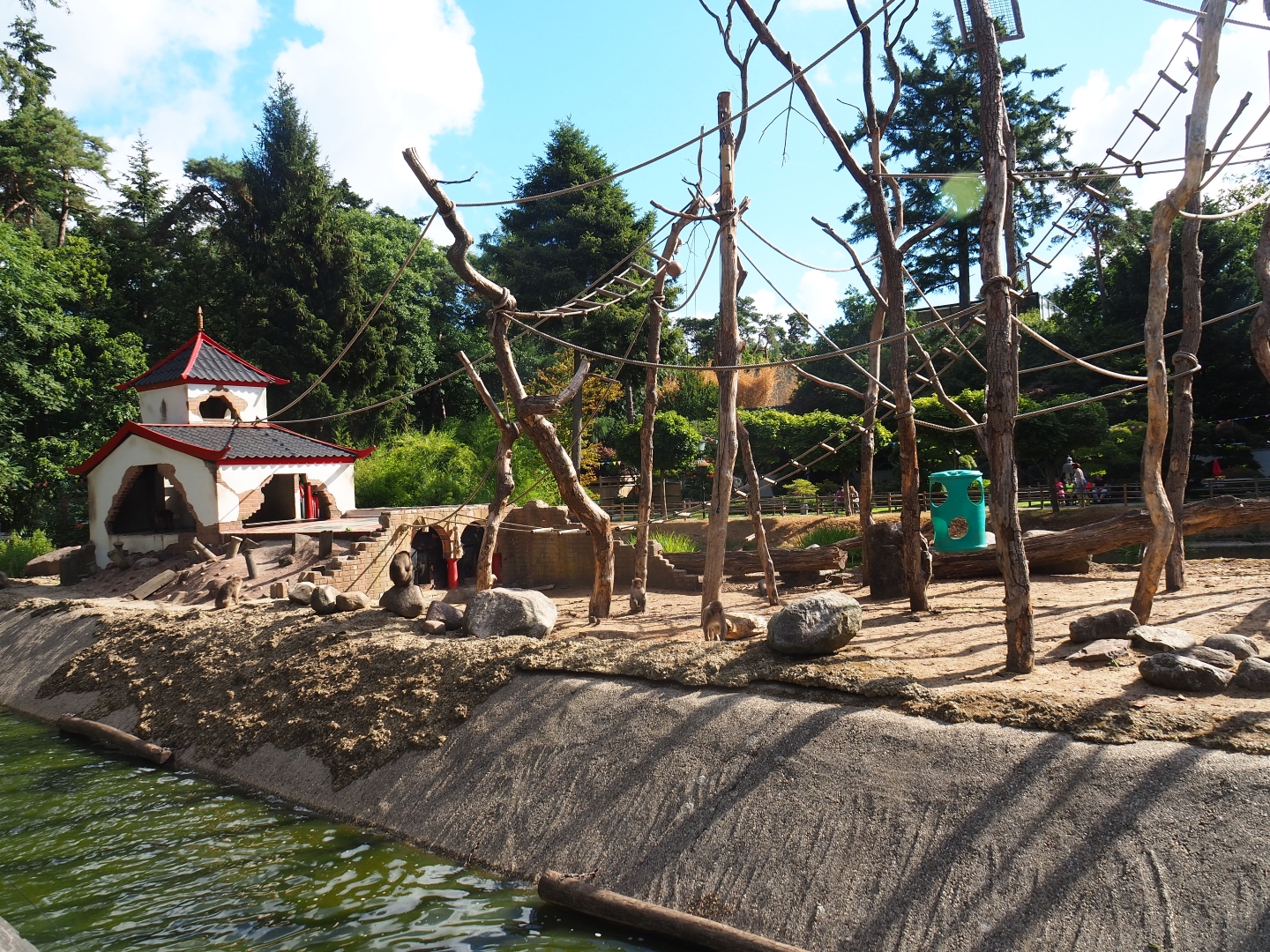 Japanese macaque island