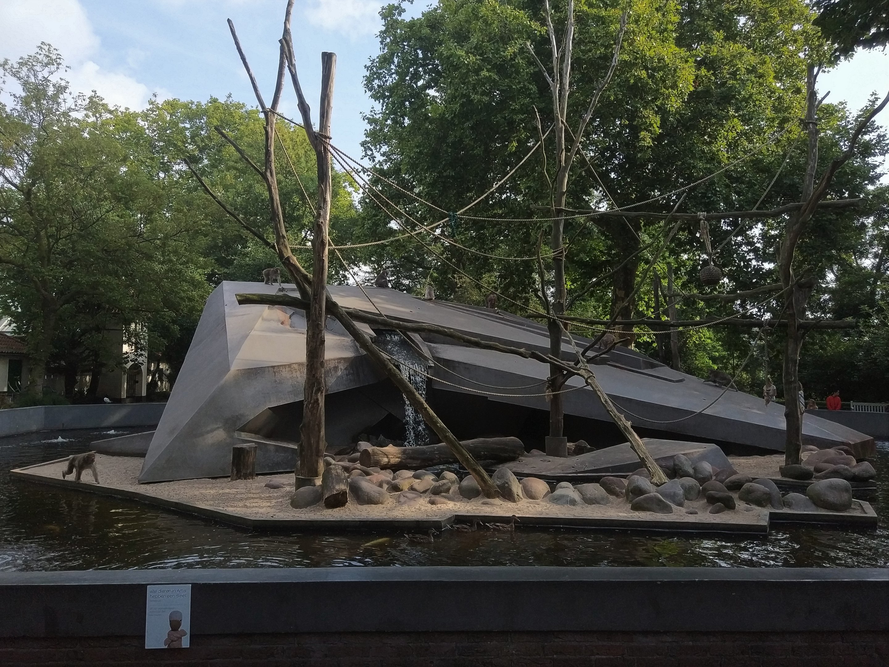 Japanese Macaque Island