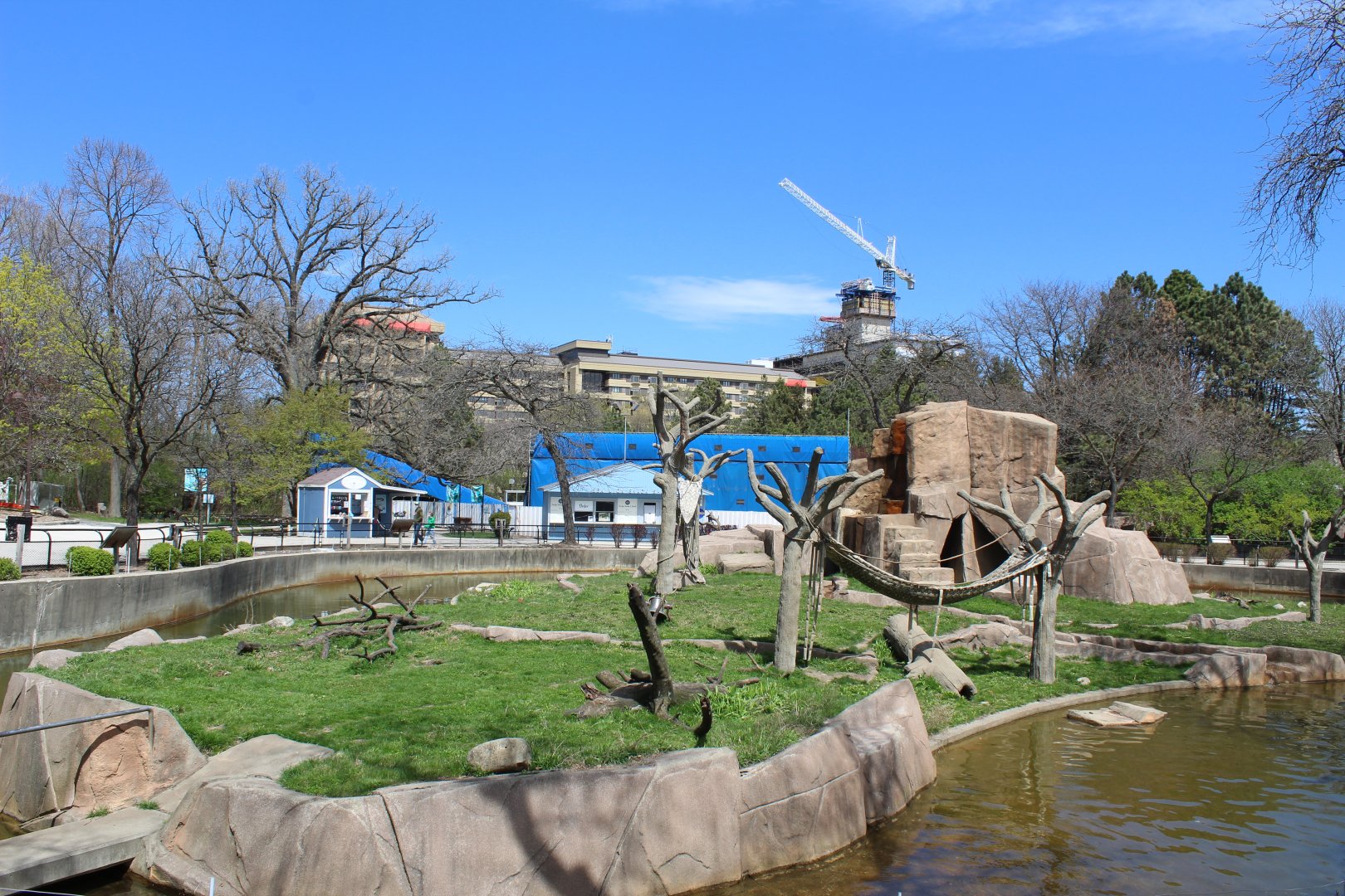 Japanese Macaque Island